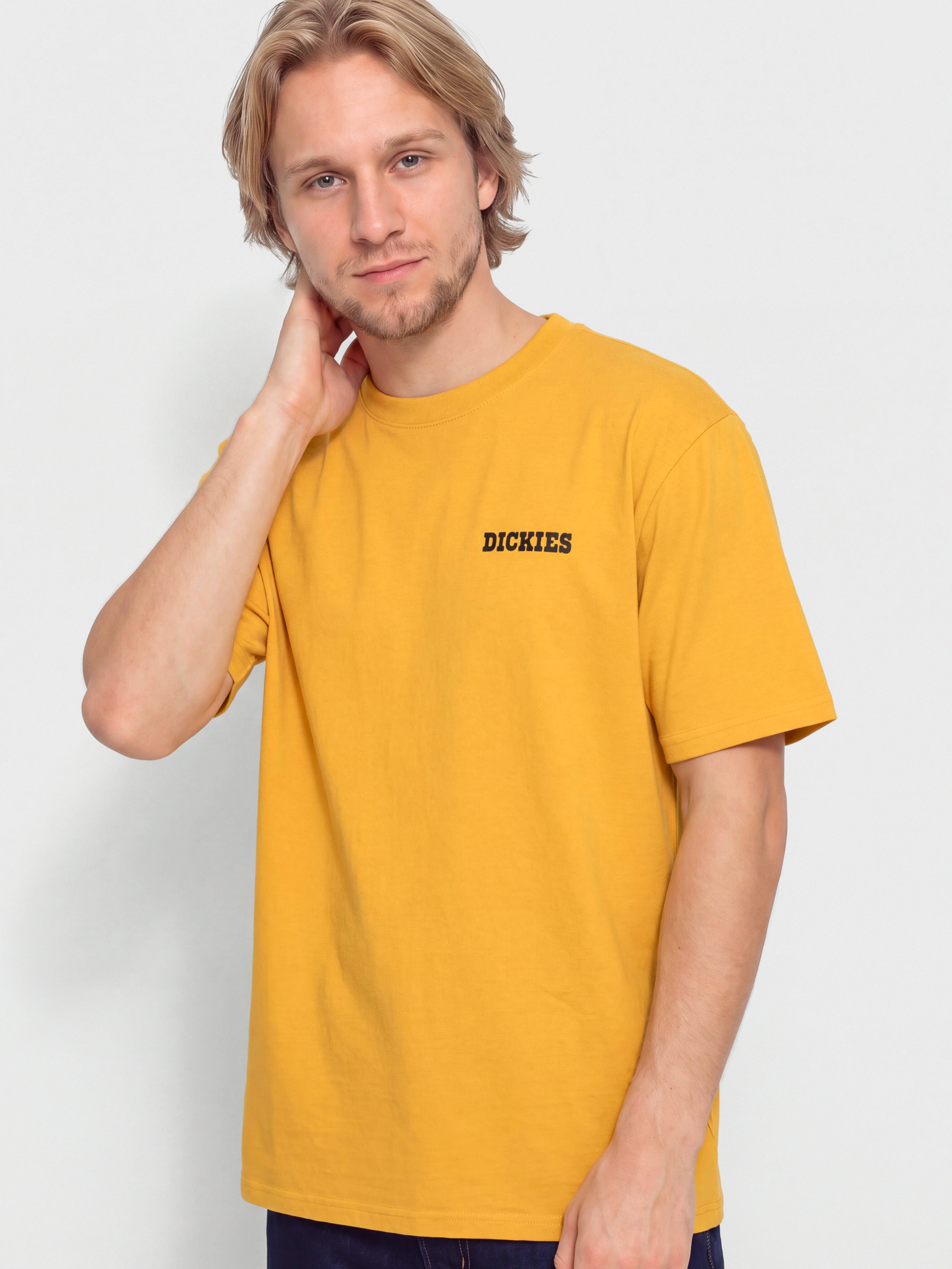 Футболка Dickies Darrtown (sunflower)