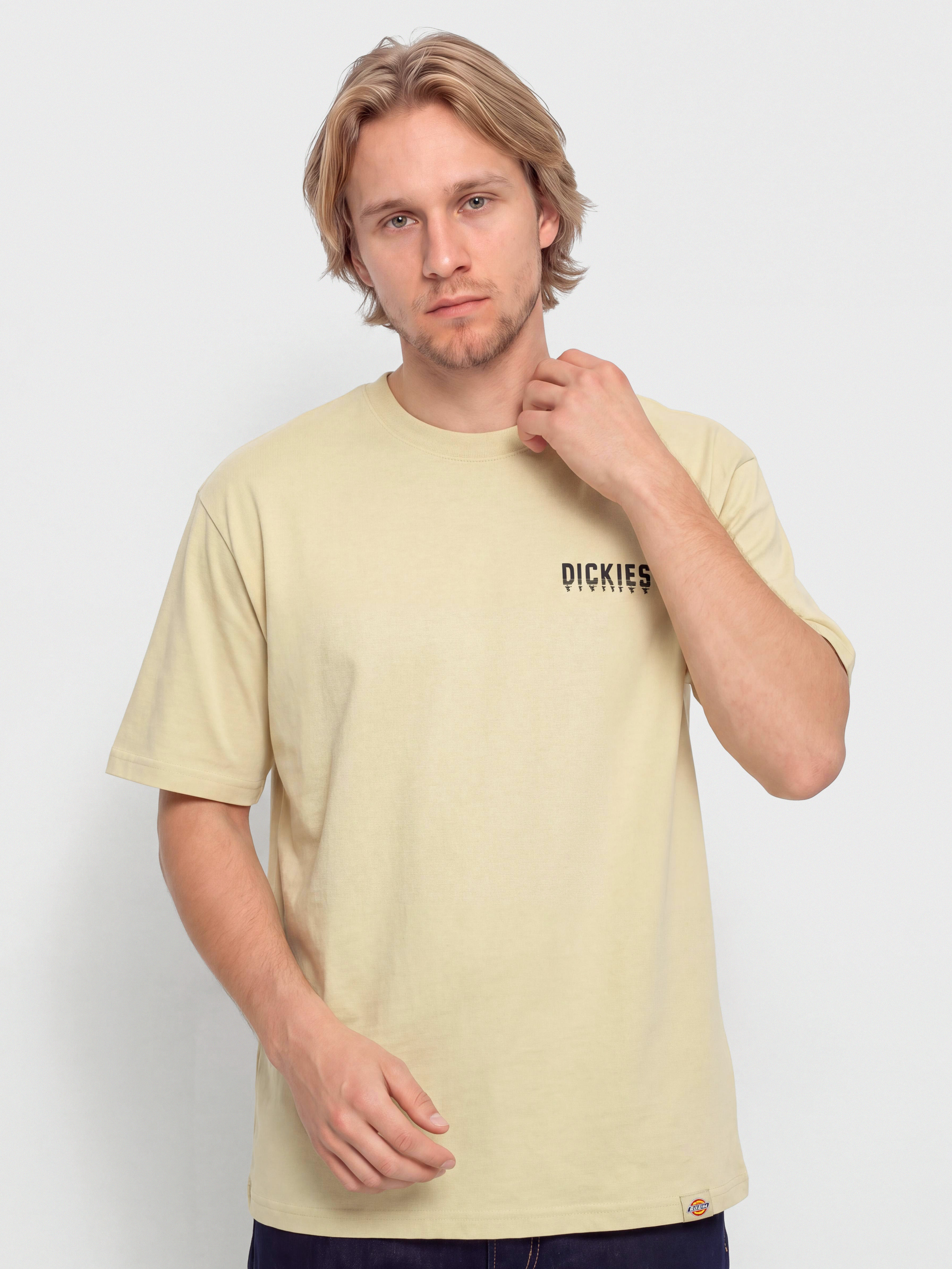 Футболка Dickies Pelham (wood ash)
