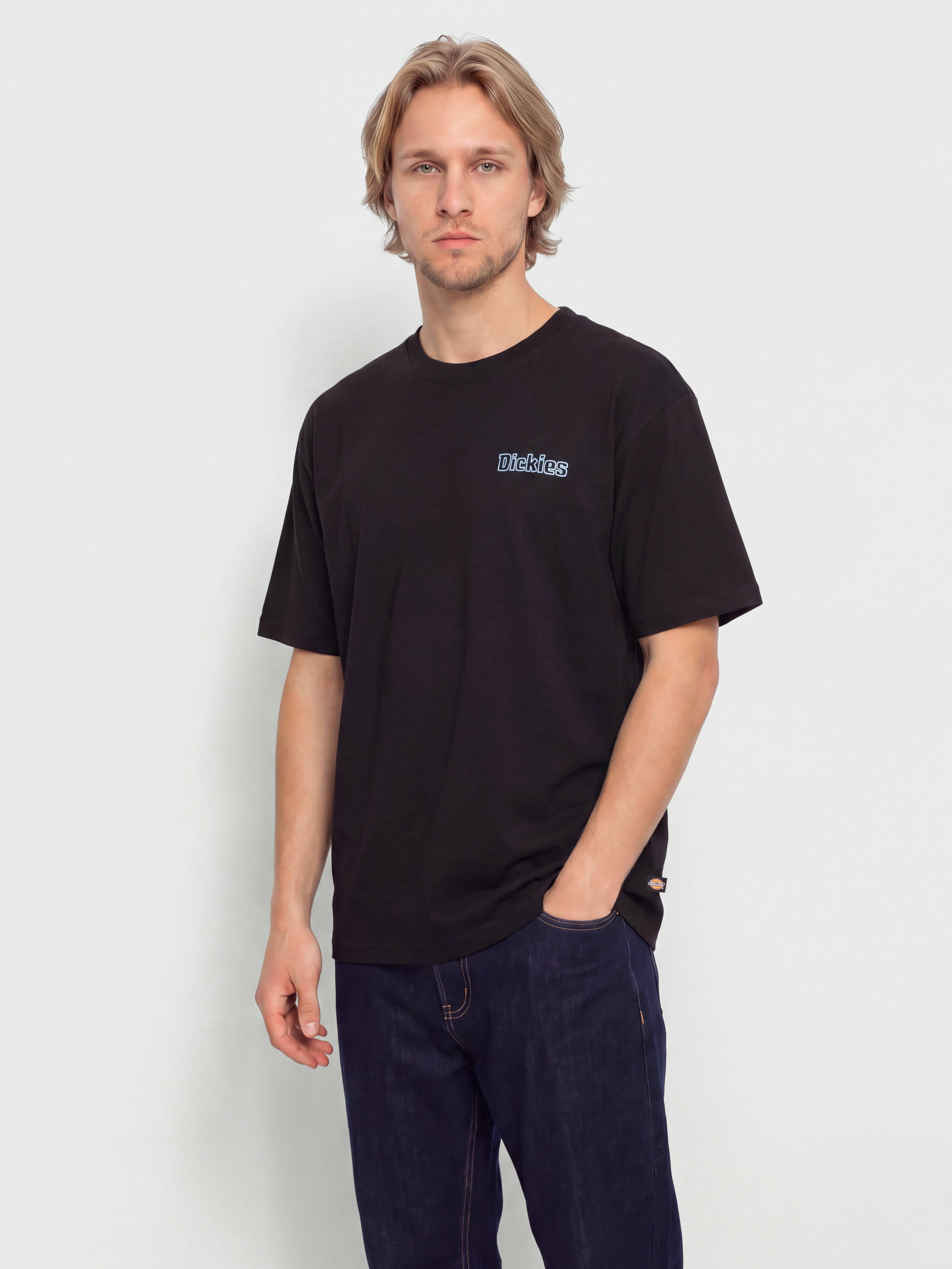 u0424u0443u0442u0431u043eu043bu043au0430 Dickies Fairlawn (black)