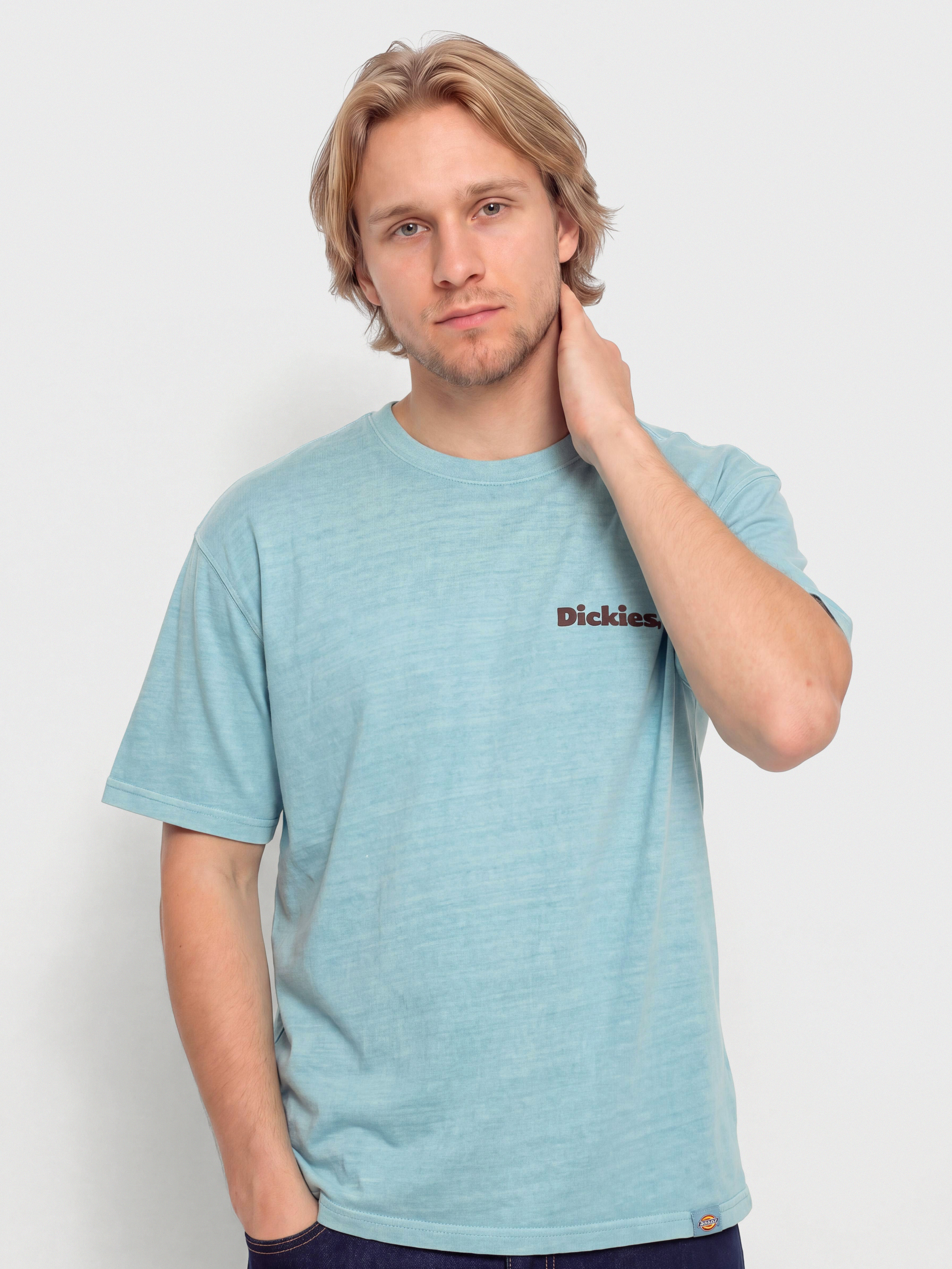Футболка Dickies Slayden (glacier lake)