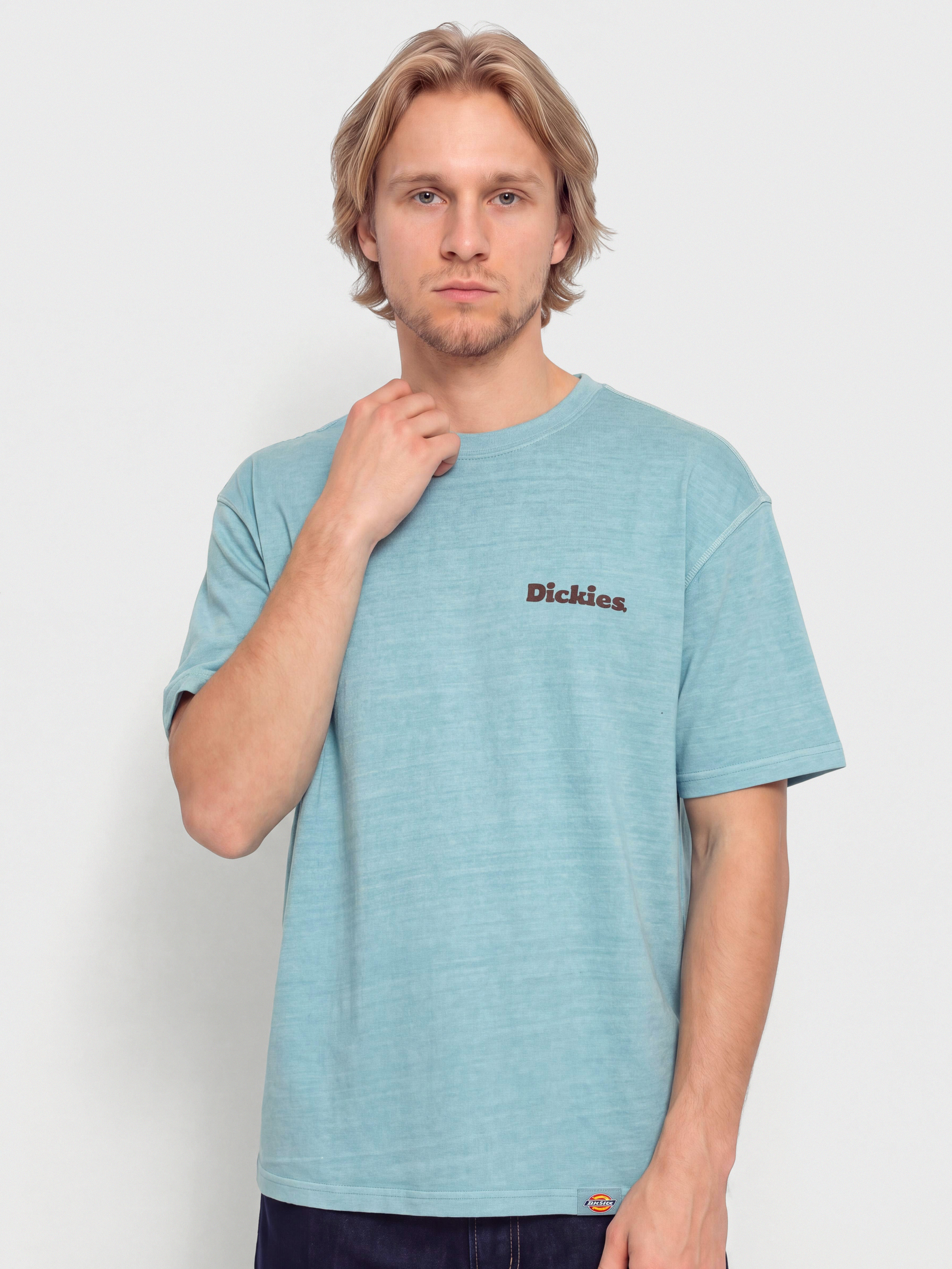 Футболка Dickies Slayden (glacier lake)