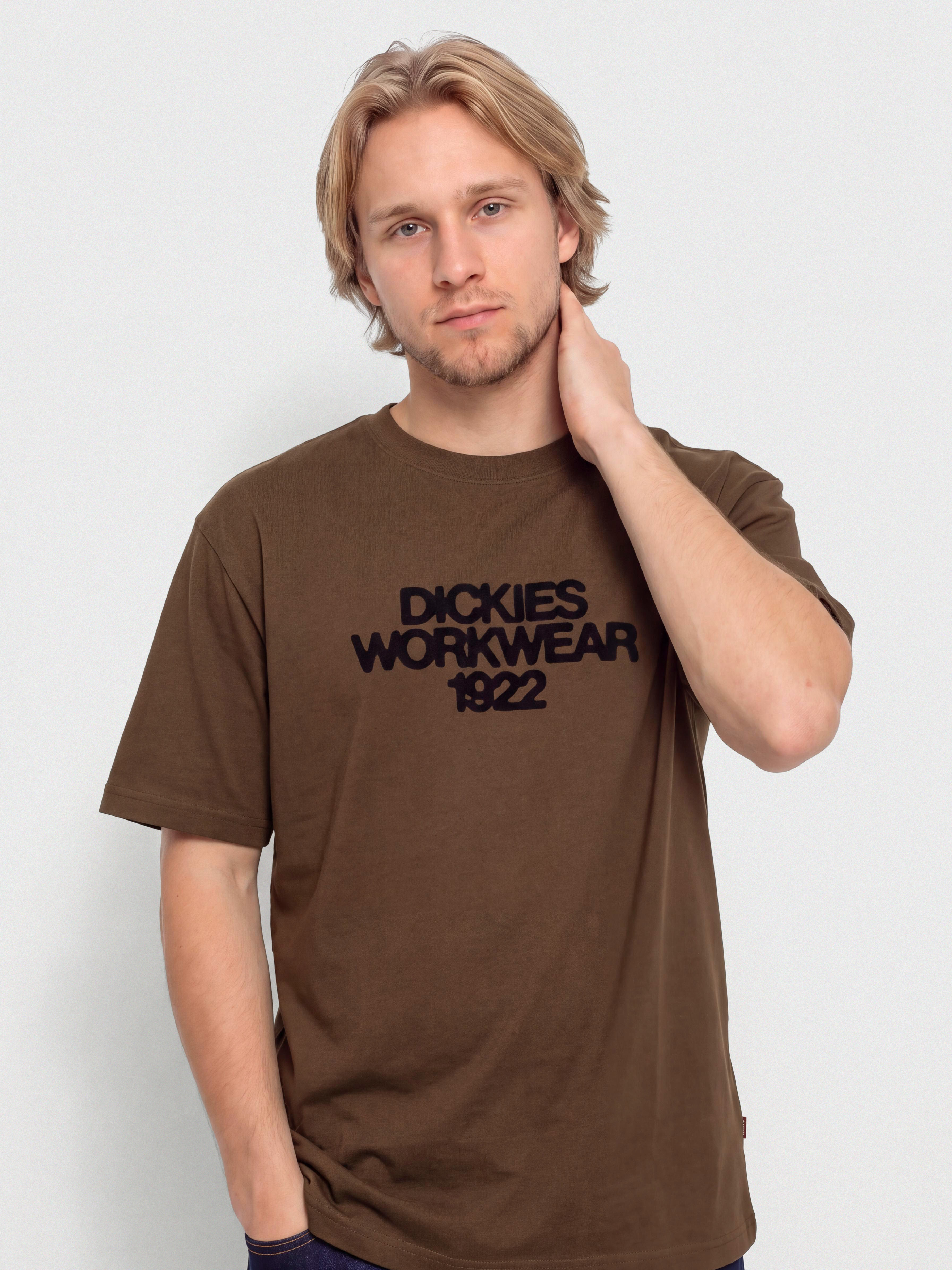 Футболка Dickies Torrey