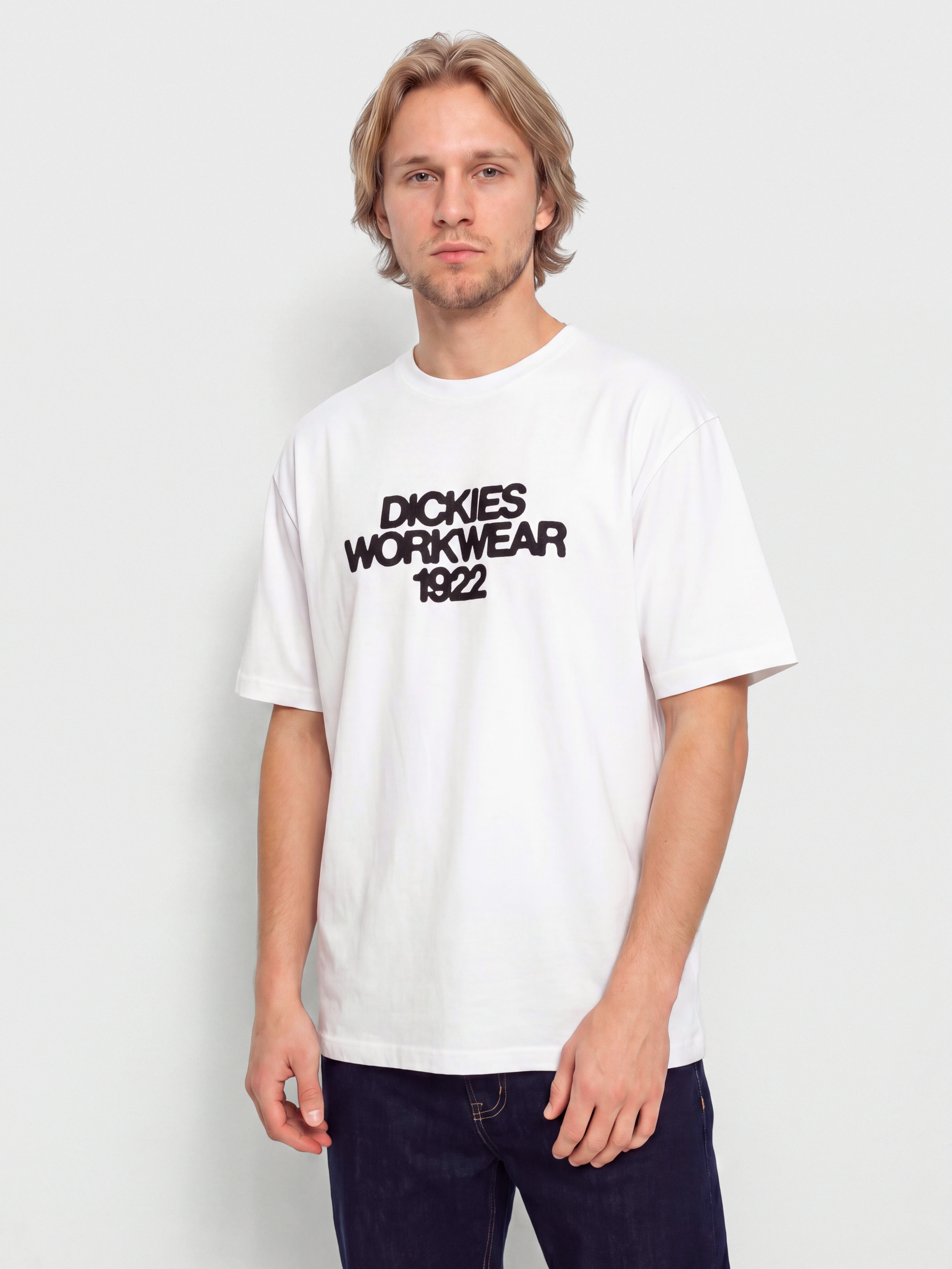 Футболка Dickies Torrey (white)