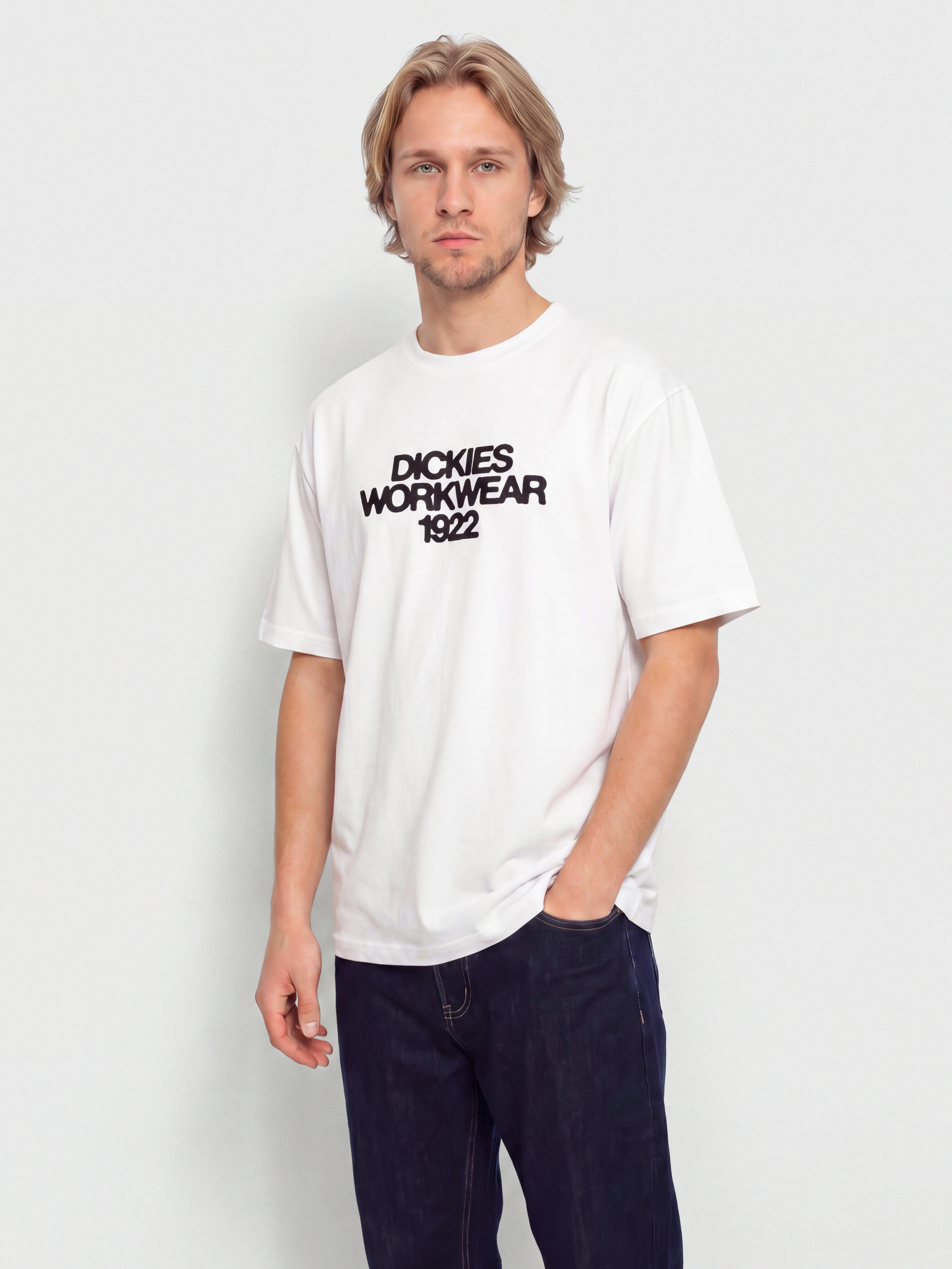 Футболка Dickies Torrey (white)