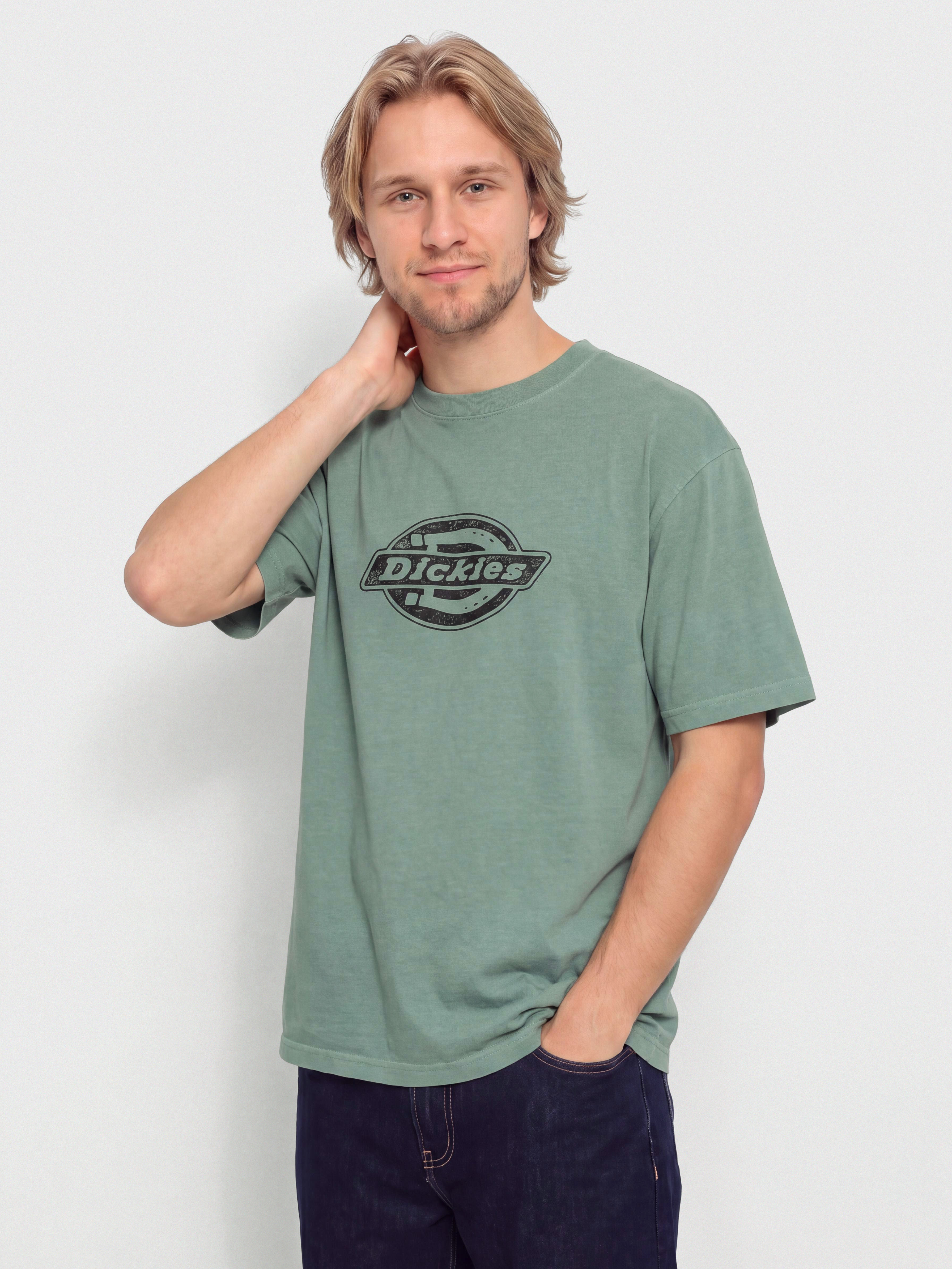 Футболка Dickies Plainville (stormy sea)