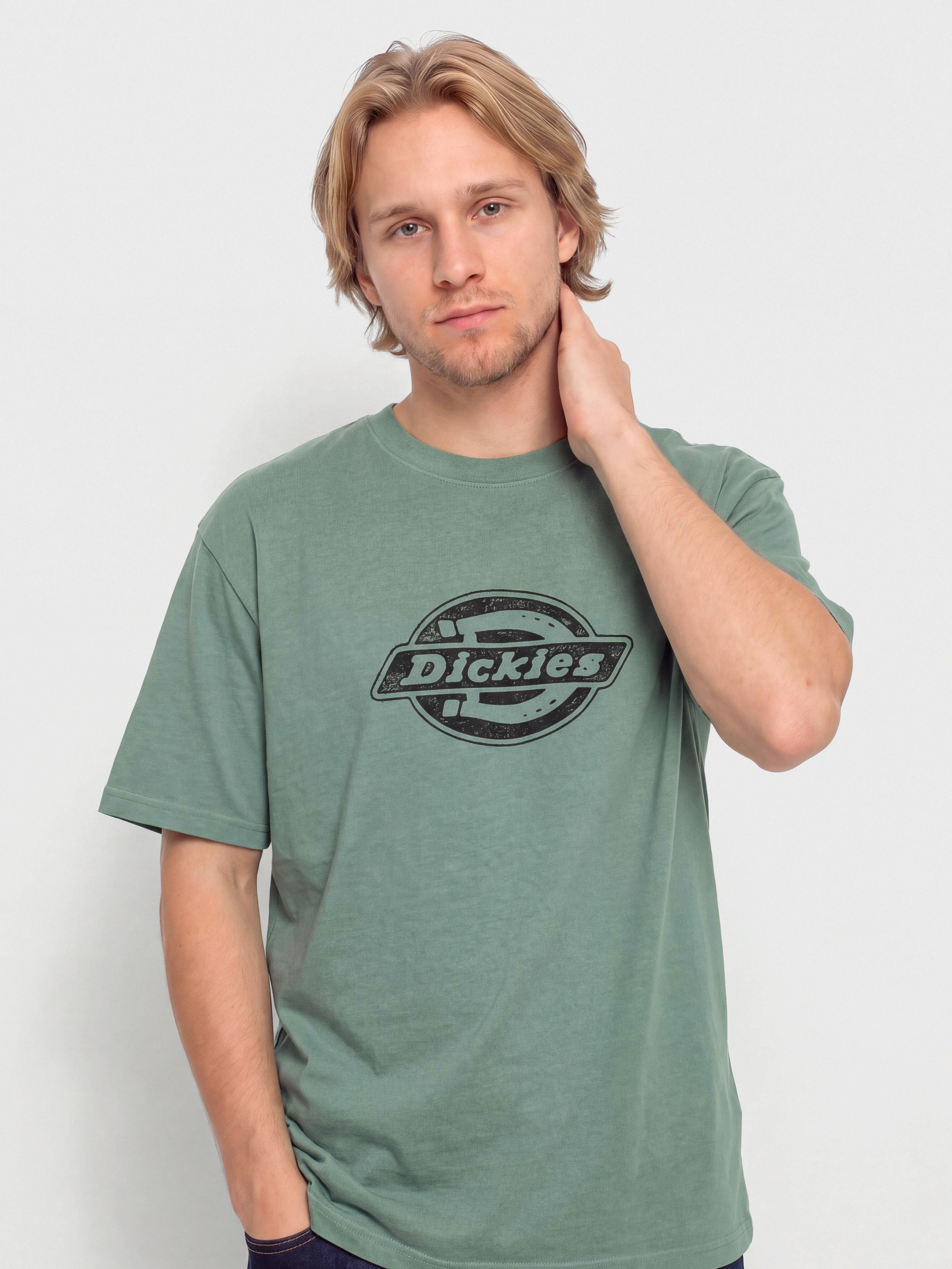Футболка Dickies Plainville (stormy sea)