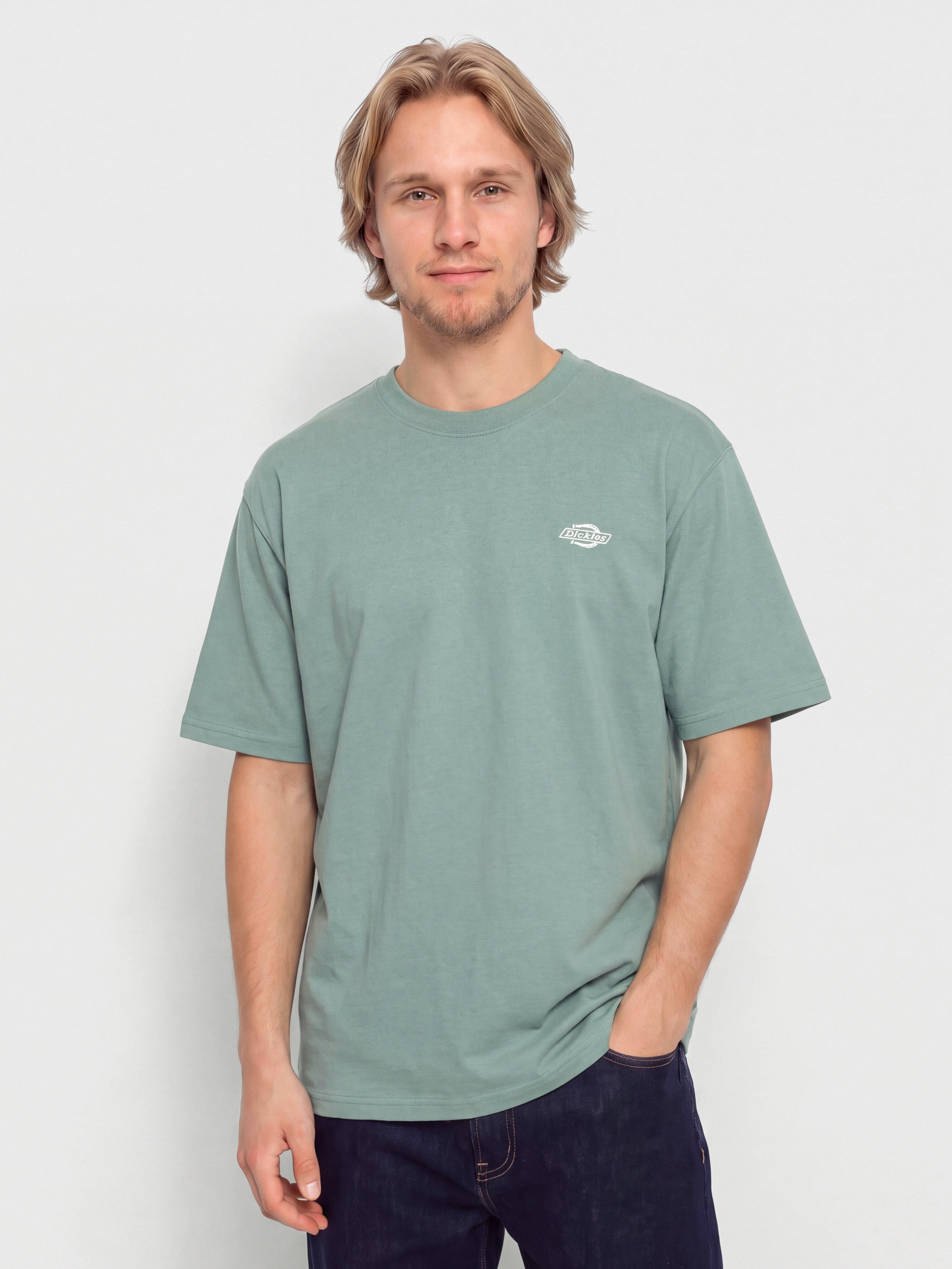 Футболка Dickies Summerdale (stormy sea)