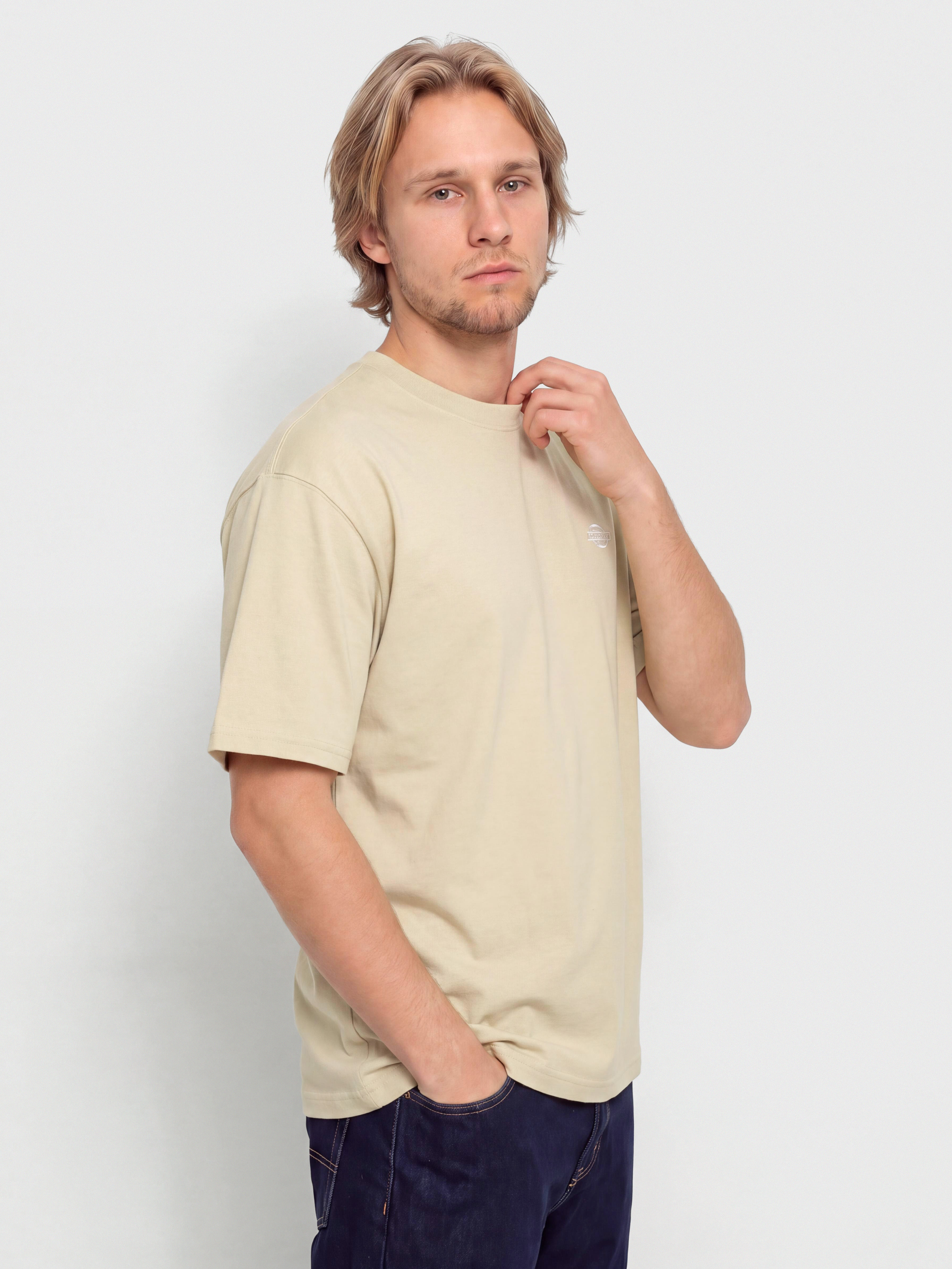 Футболка Dickies Summerdale (eucalyptus)
