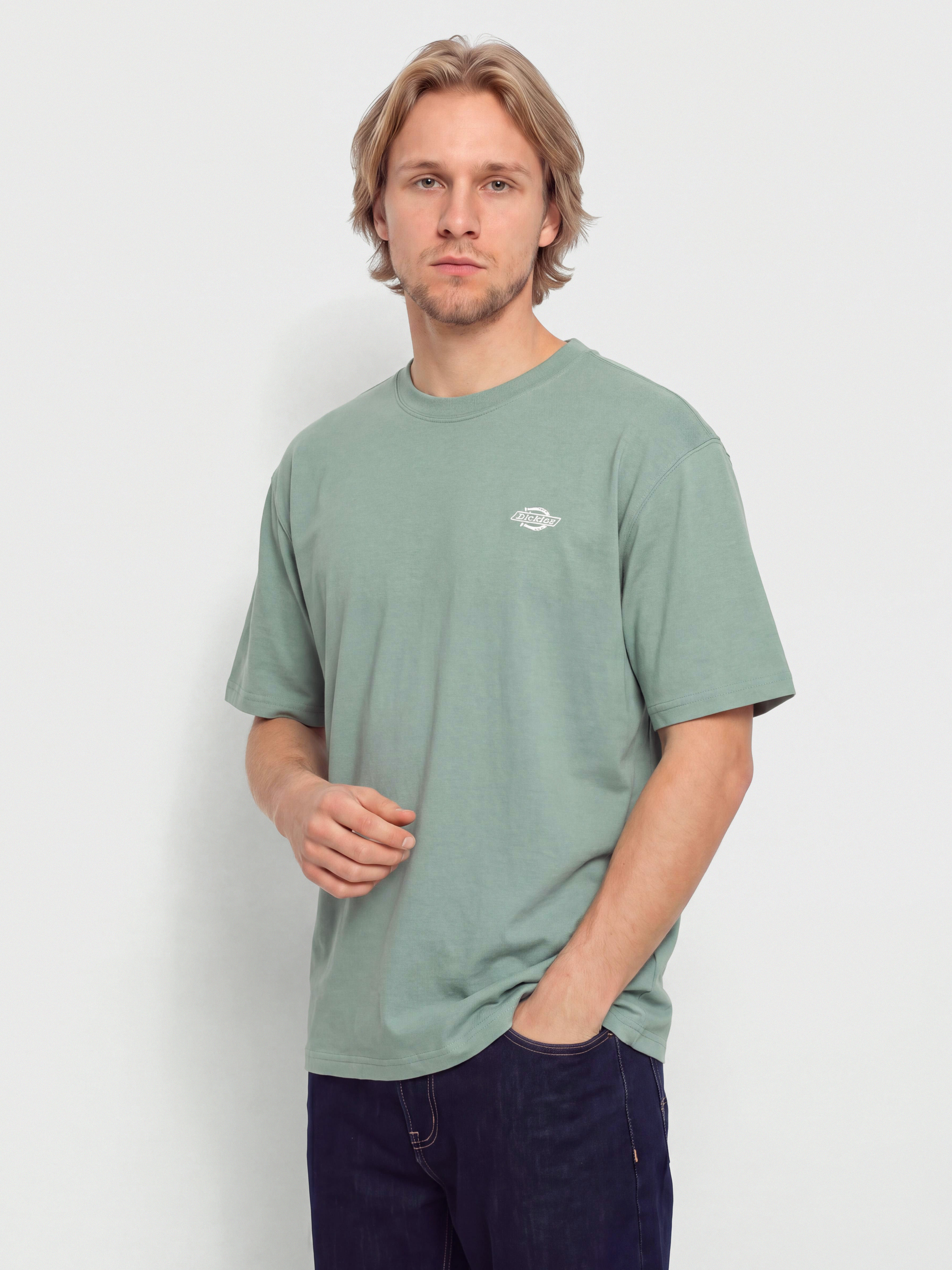 Футболка Dickies Summerdale (stormy sea)