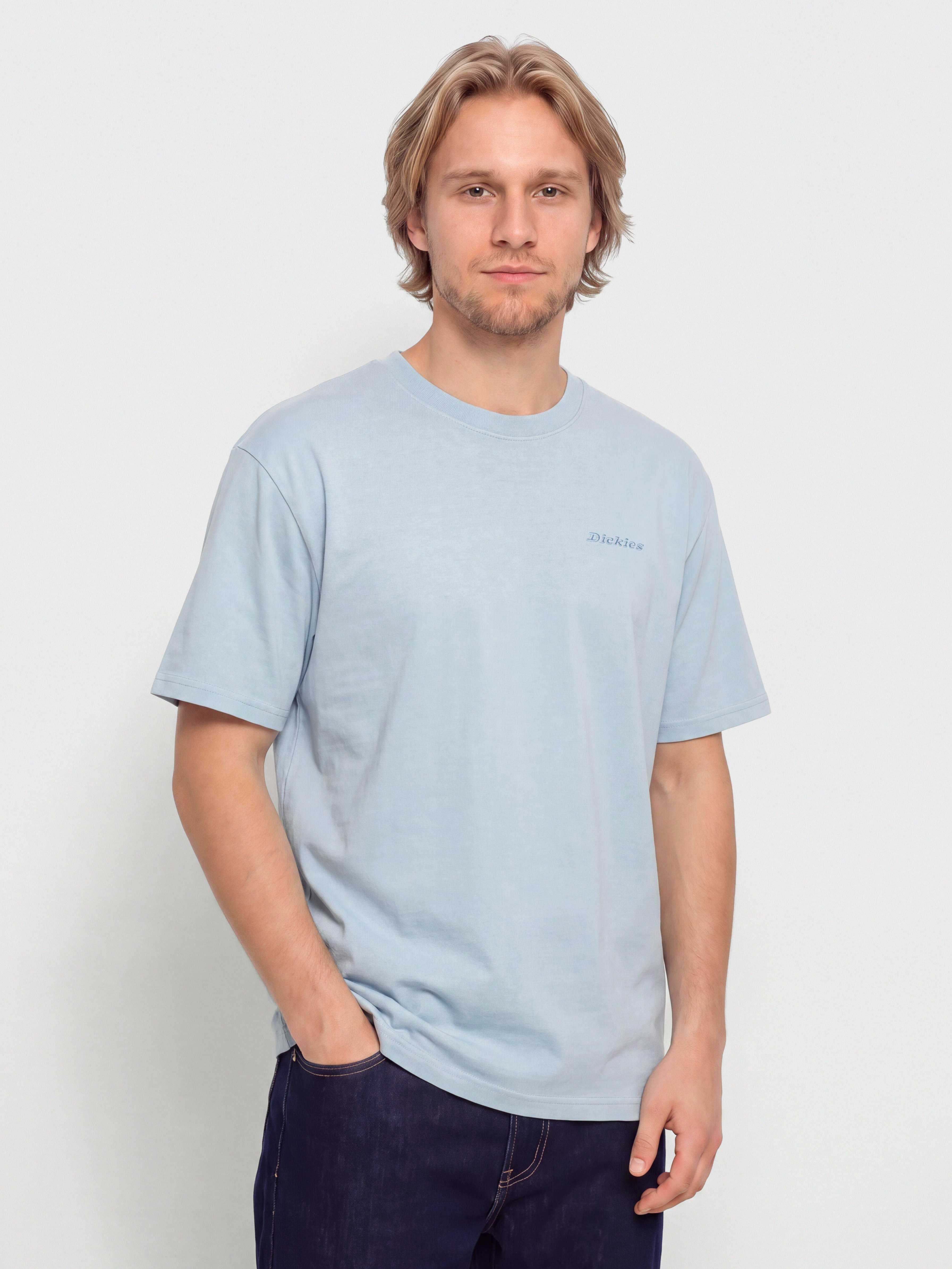 Футболка Dickies Plentywood (endless sky)