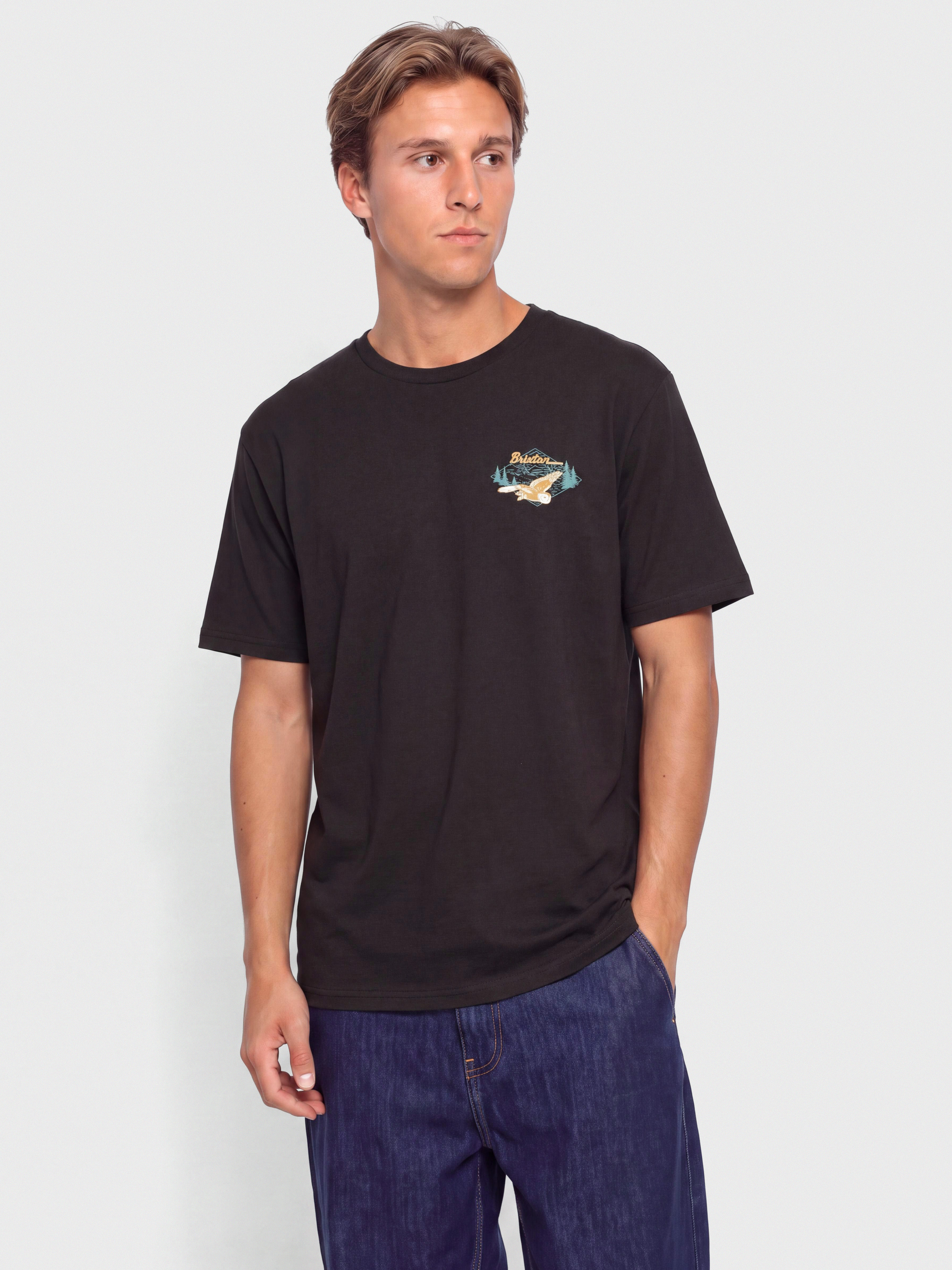 Футболка Brixton Driftway Tlrt (black)