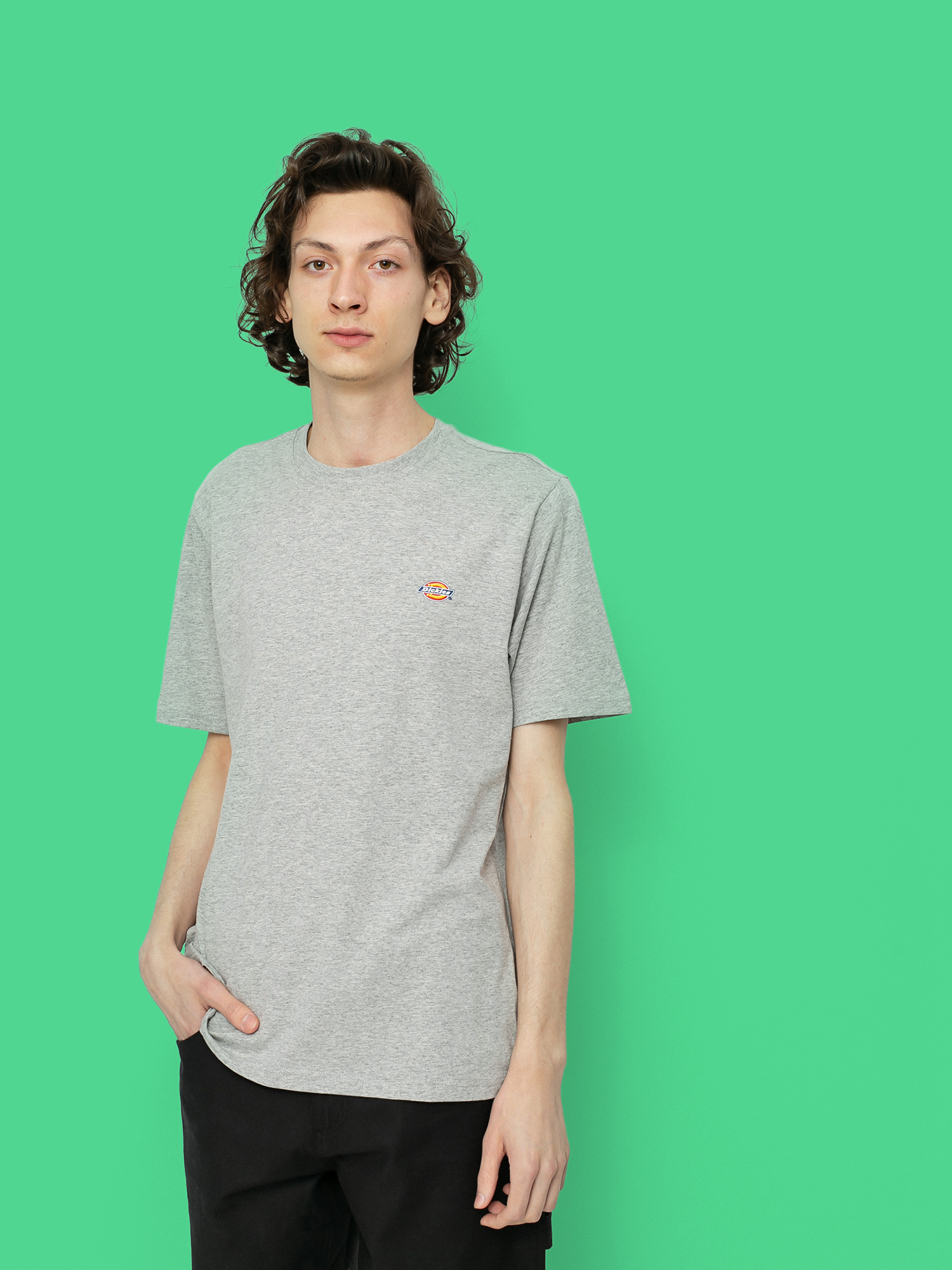 u0424u0443u0442u0431u043eu043bu043au0430 Dickies Mapleton (grey melange)