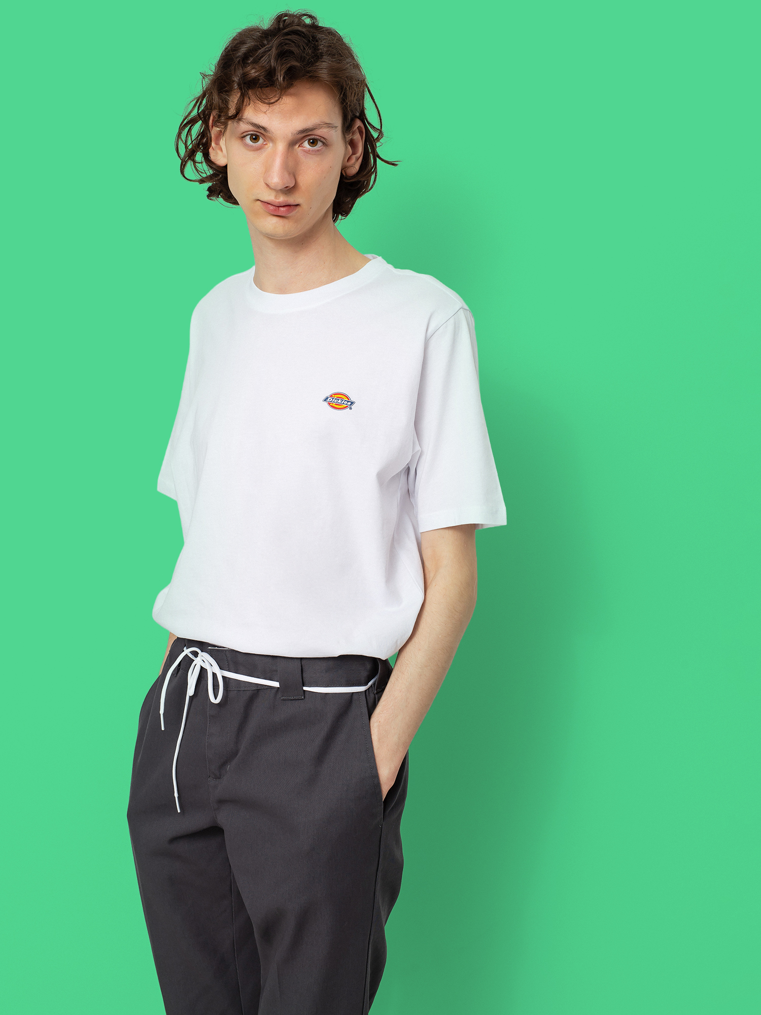 u0424u0443u0442u0431u043eu043bu043au0430 Dickies Mapleton (white)