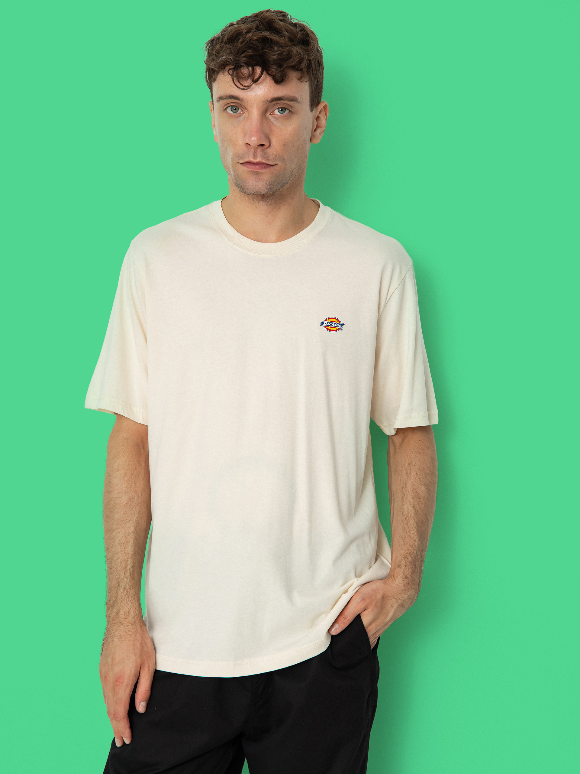 Футболка Dickies Mapleton (whitecap gray)