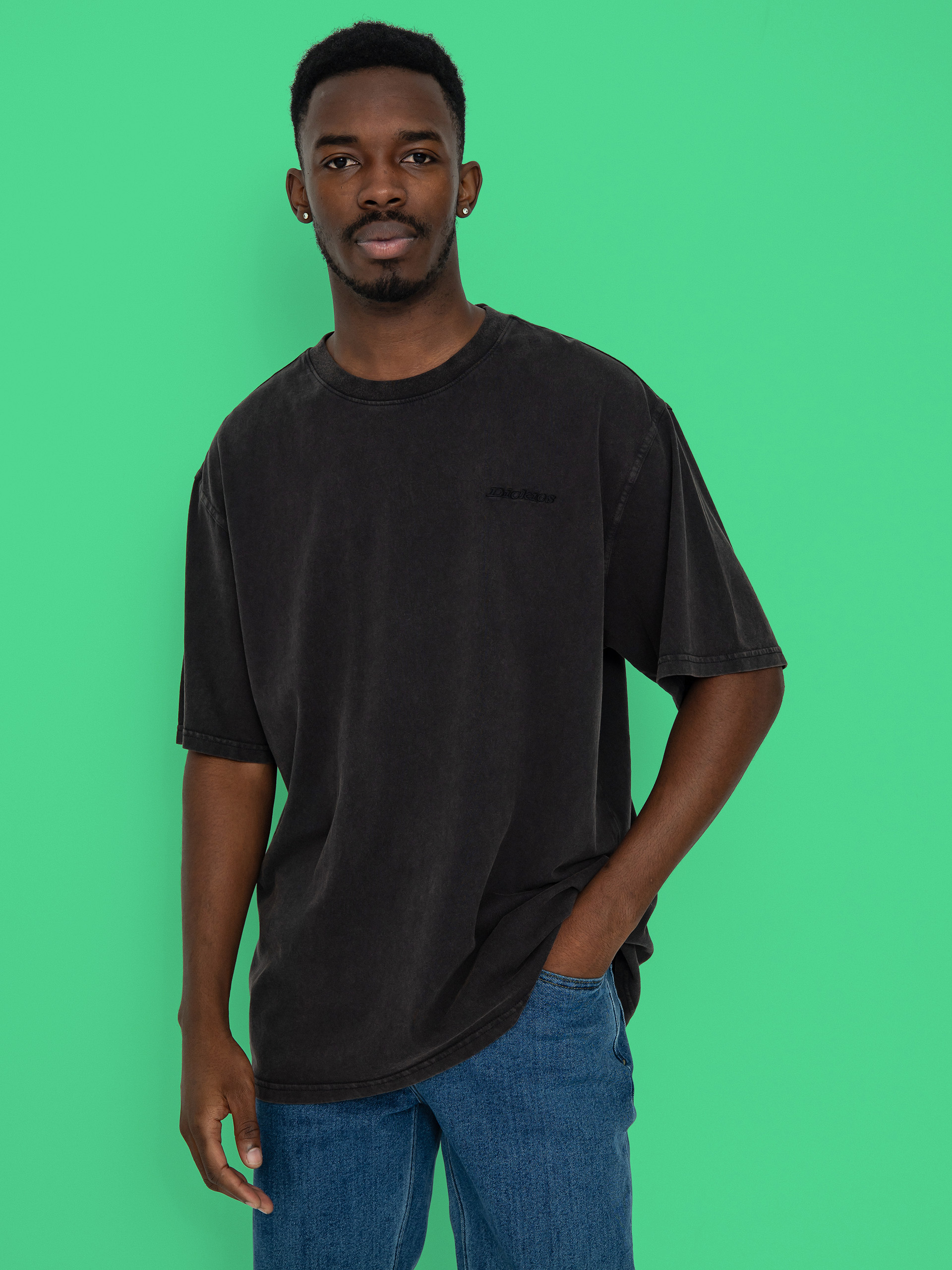 u0424u0443u0442u0431u043eu043bu043au0430 Dickies Plentywood (dble dye/acd bl)
