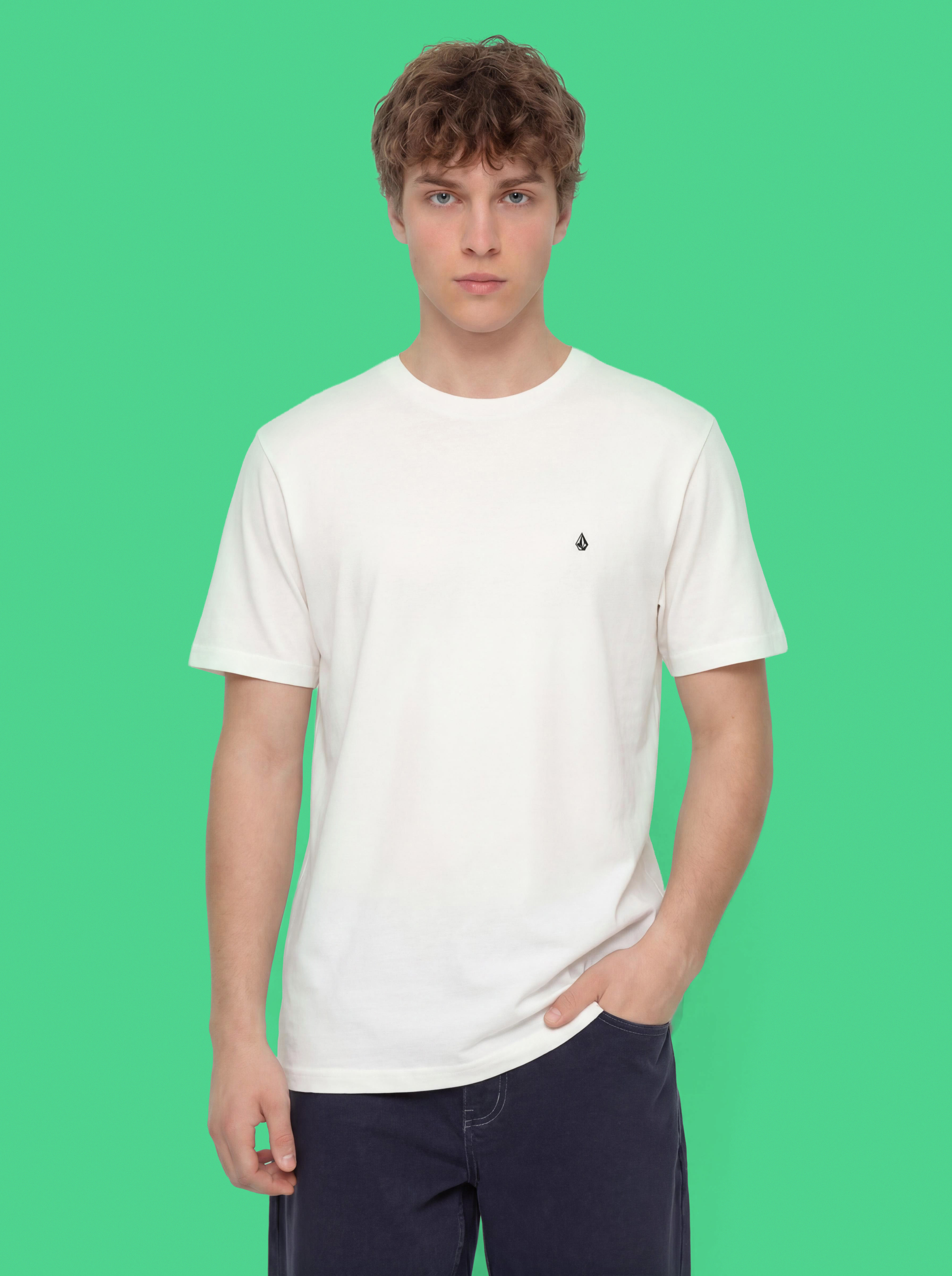 Футболка Volcom Stone Blanks Bsc (white)