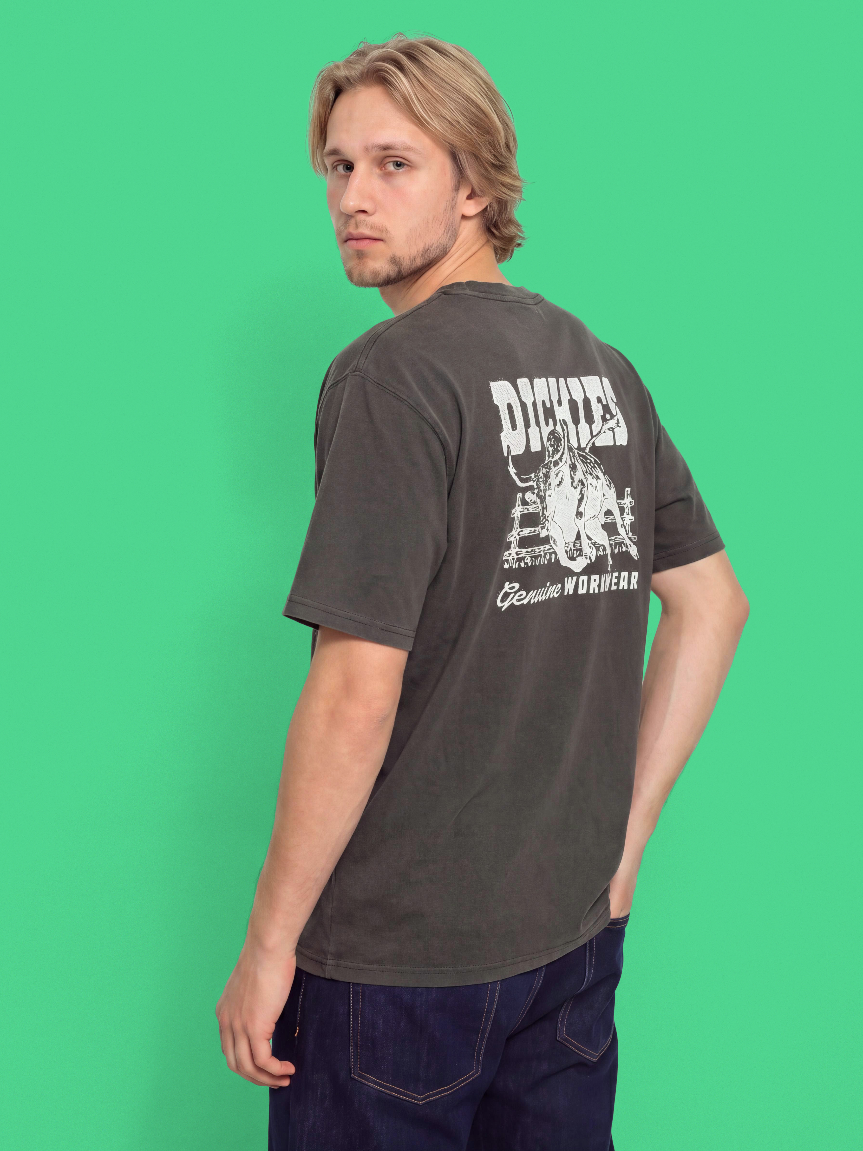 Футболка Dickies Buchtell (black)