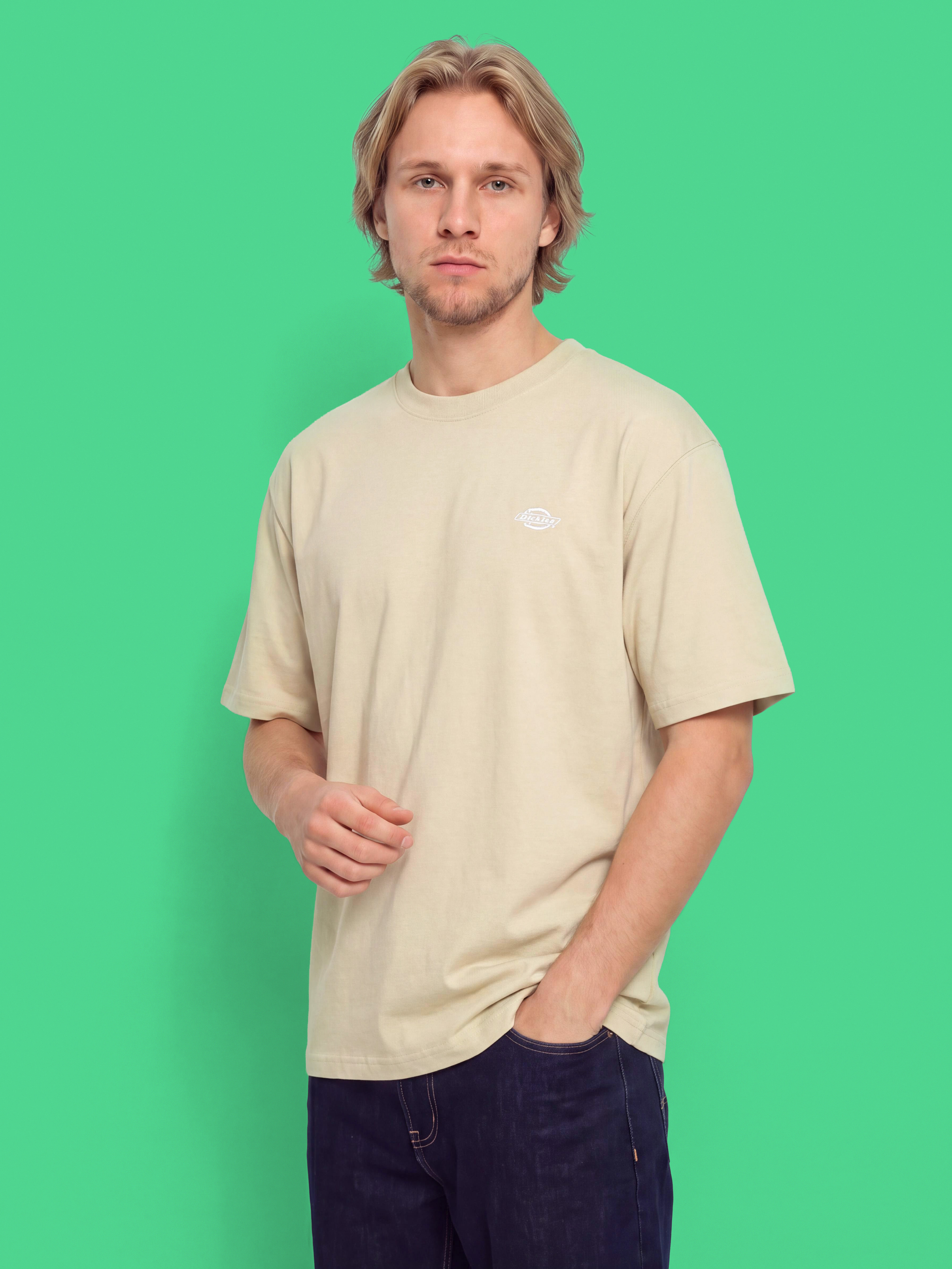 Футболка Dickies Summerdale (eucalyptus)