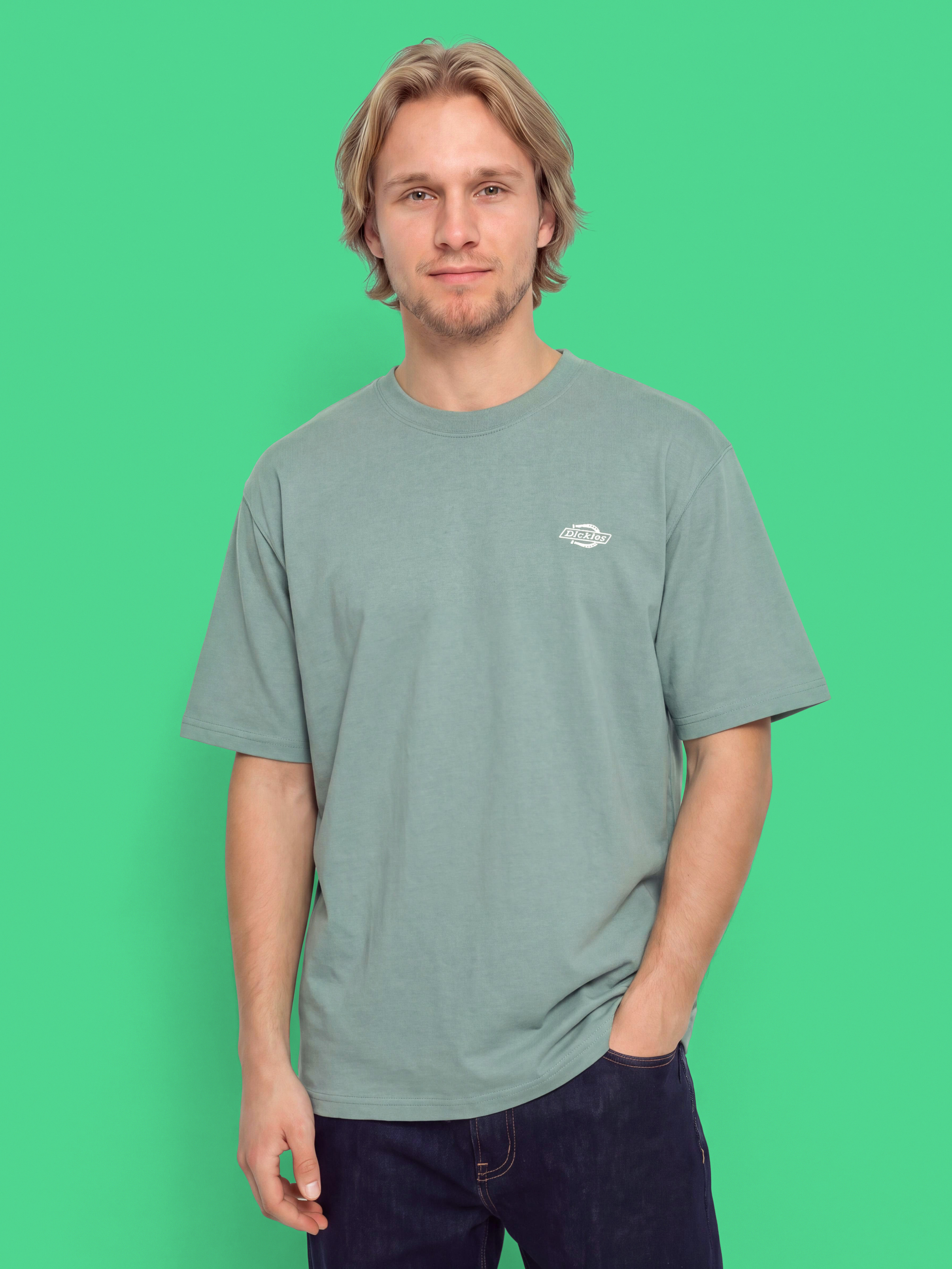 Футболка Dickies Summerdale (stormy sea)