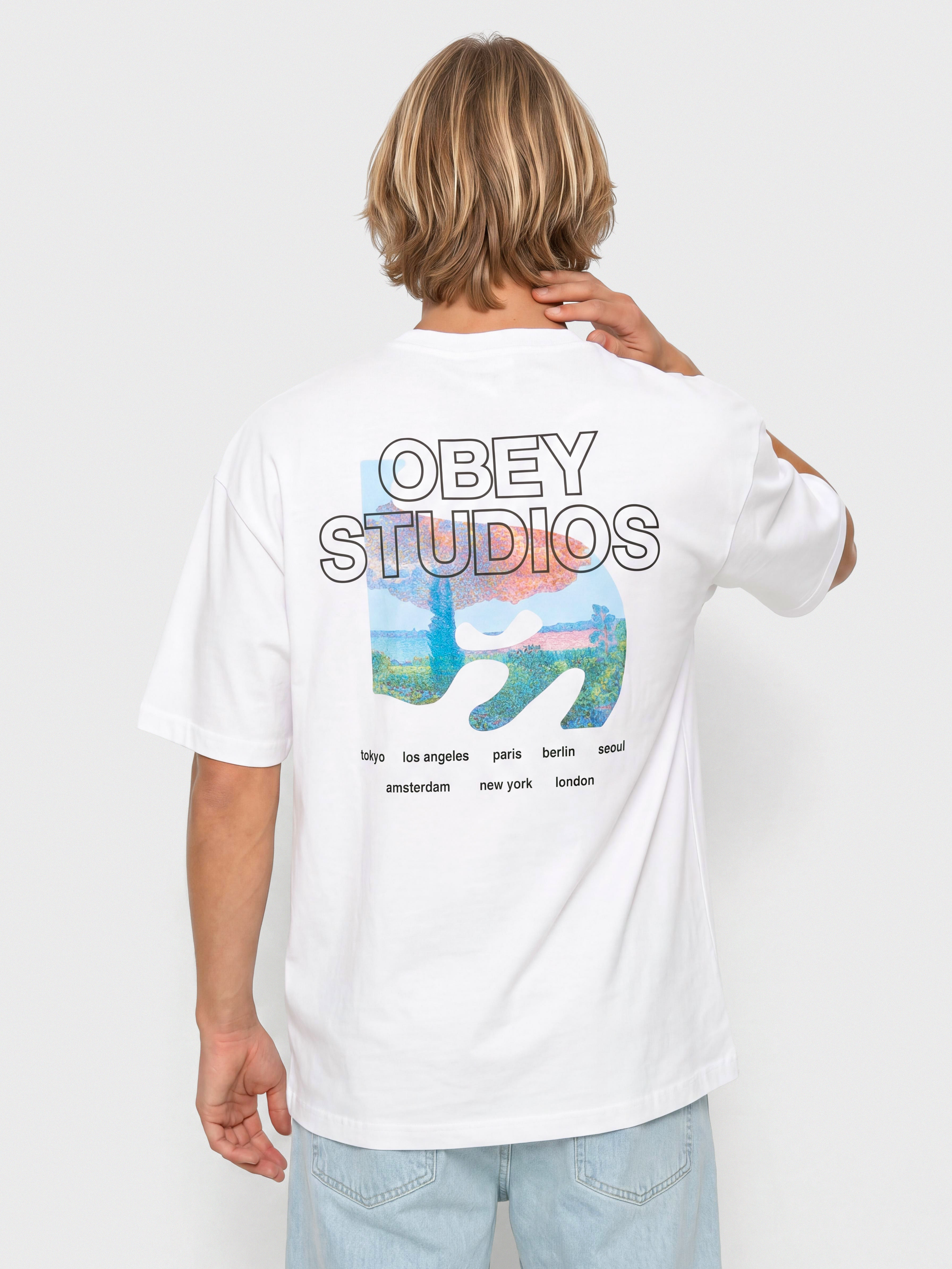 Футболка OBEY Pastures