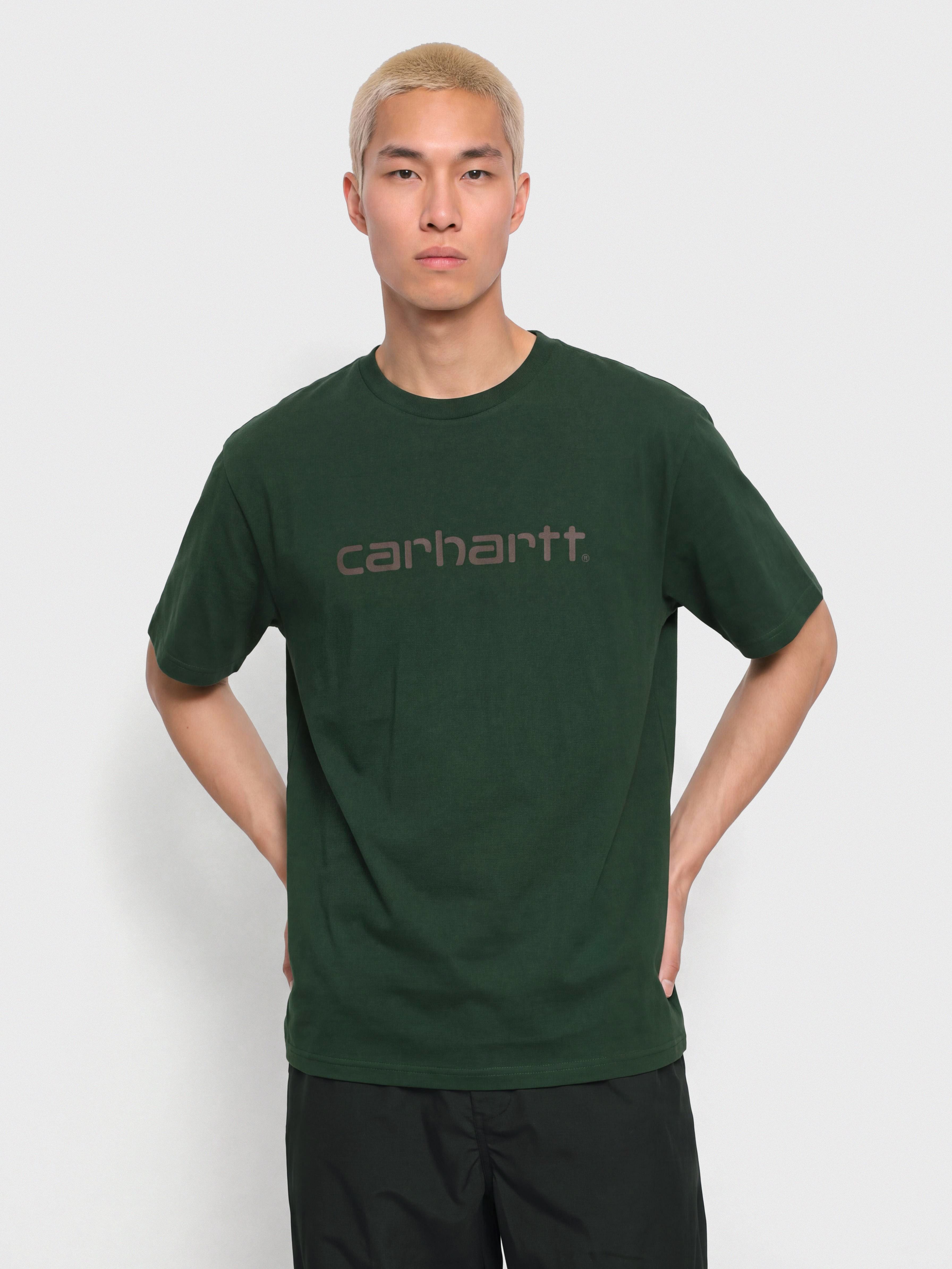 Футболка Carhartt WIP Script (dark scarab/palisander)