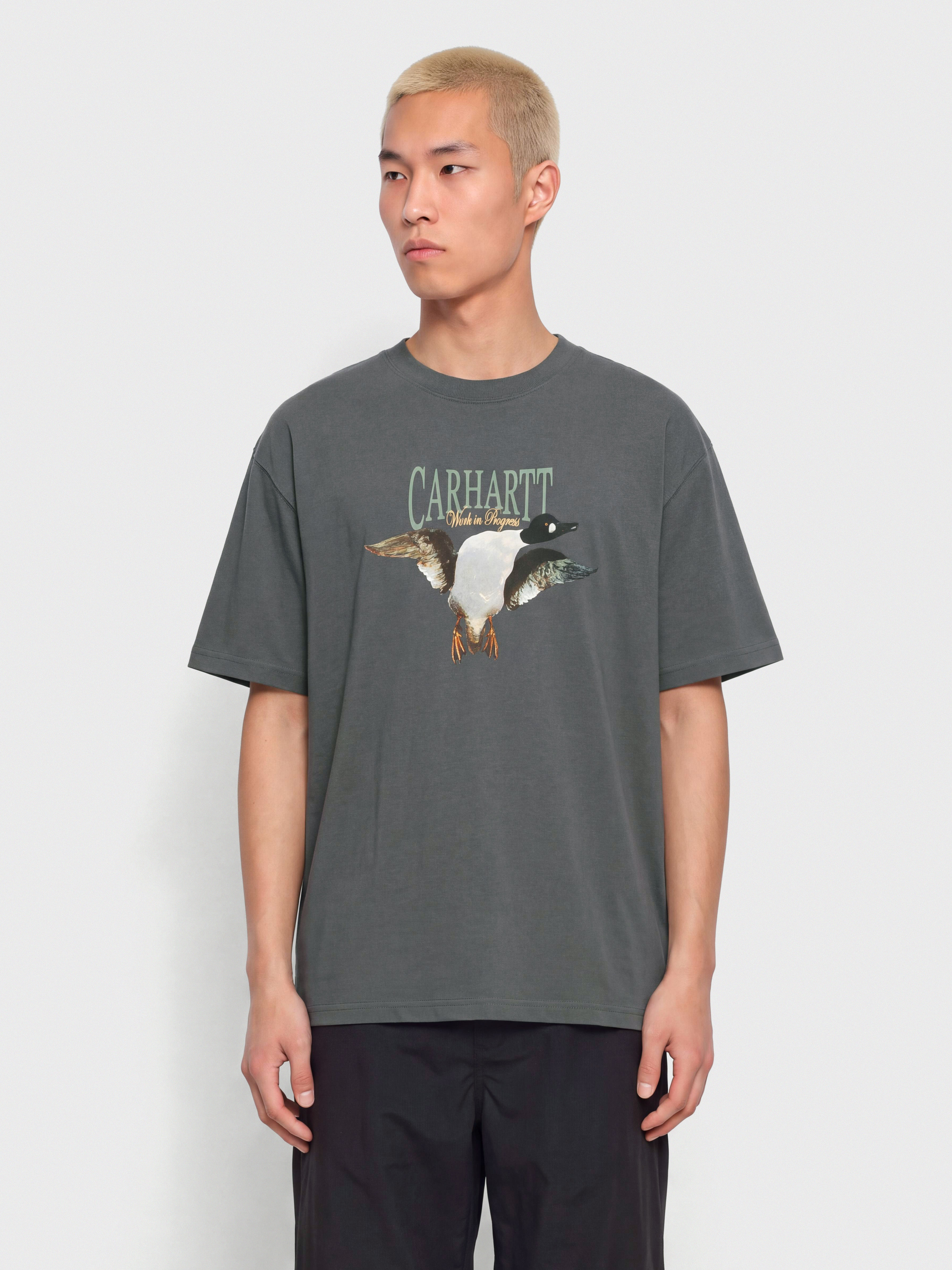 Футболка Carhartt WIP Pennon (styx)