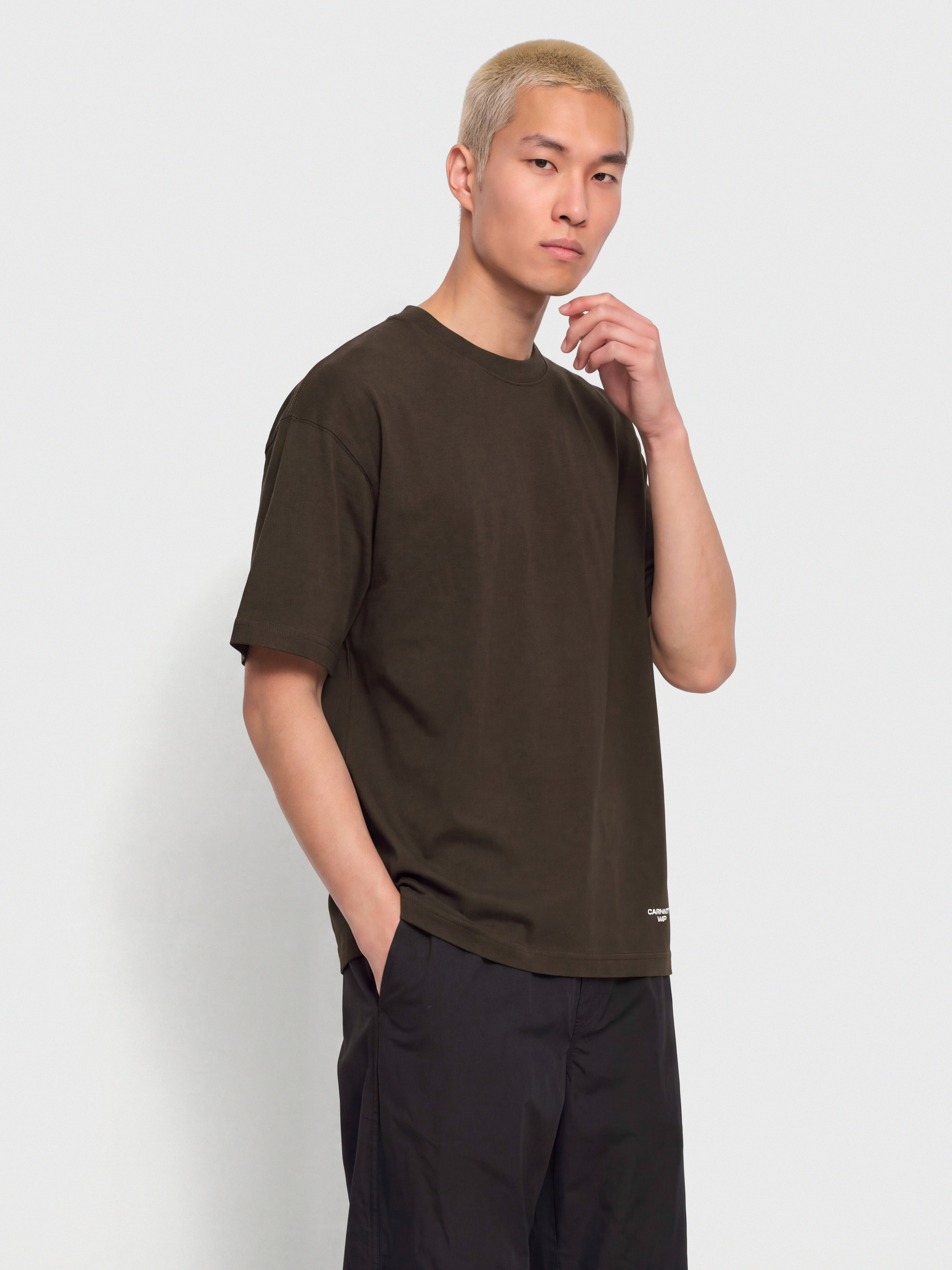 Футболка Carhartt WIP Chapter Script (tobacco/white)
