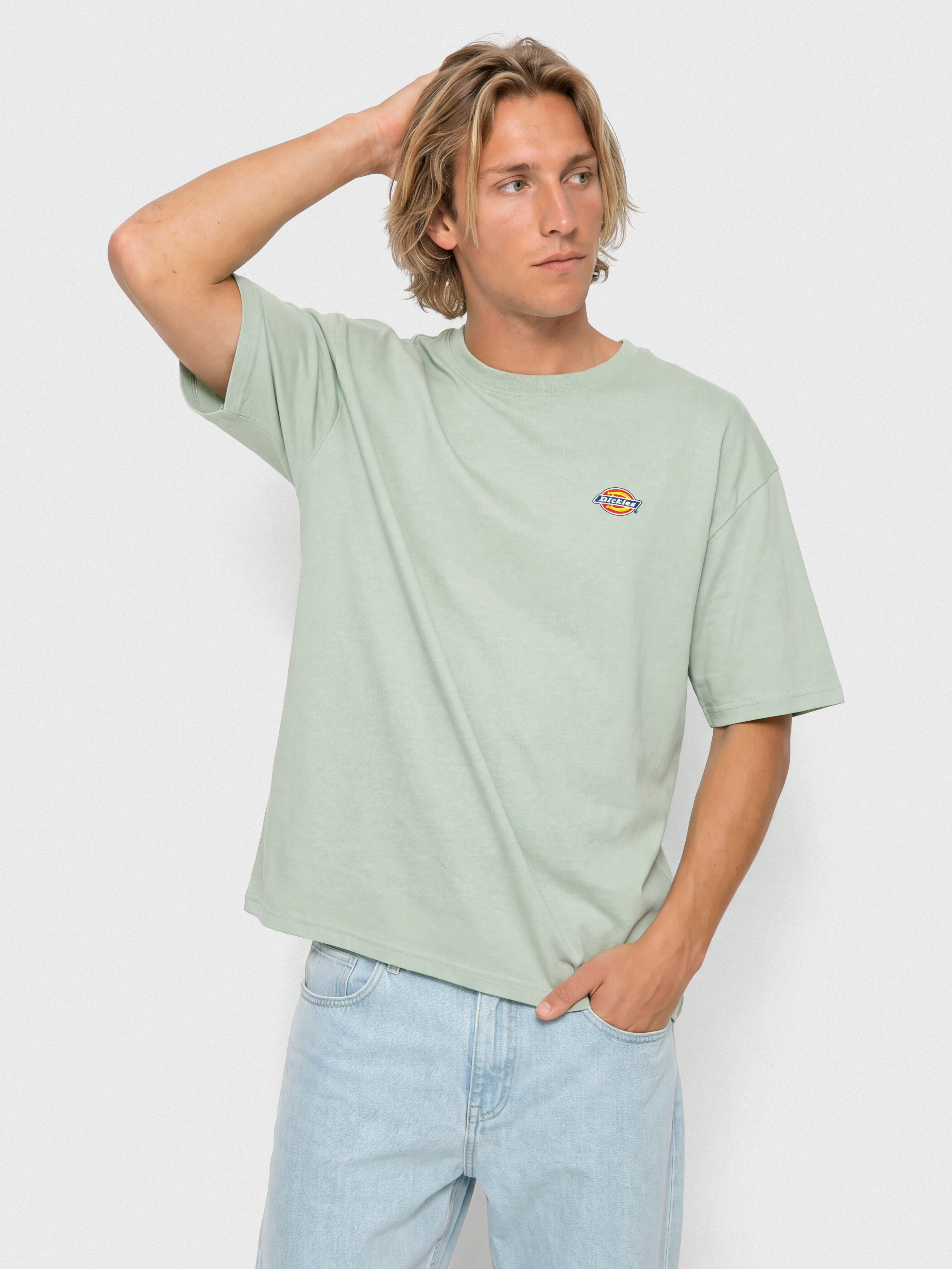 u0424u0443u0442u0431u043eu043bu043au0430 Dickies Mapleton (jadeite)