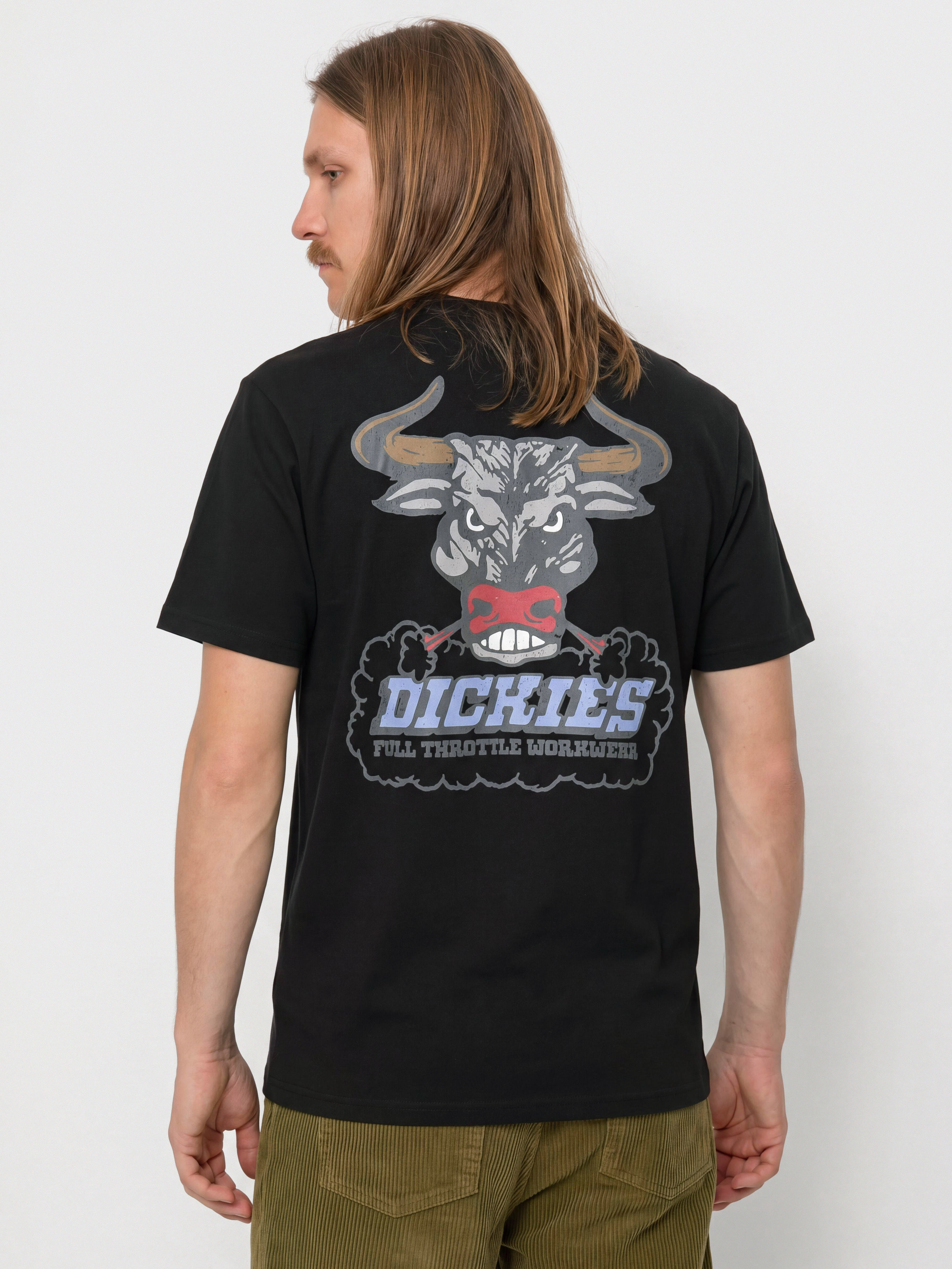 Футболка Dickies Lakeridge (black)
