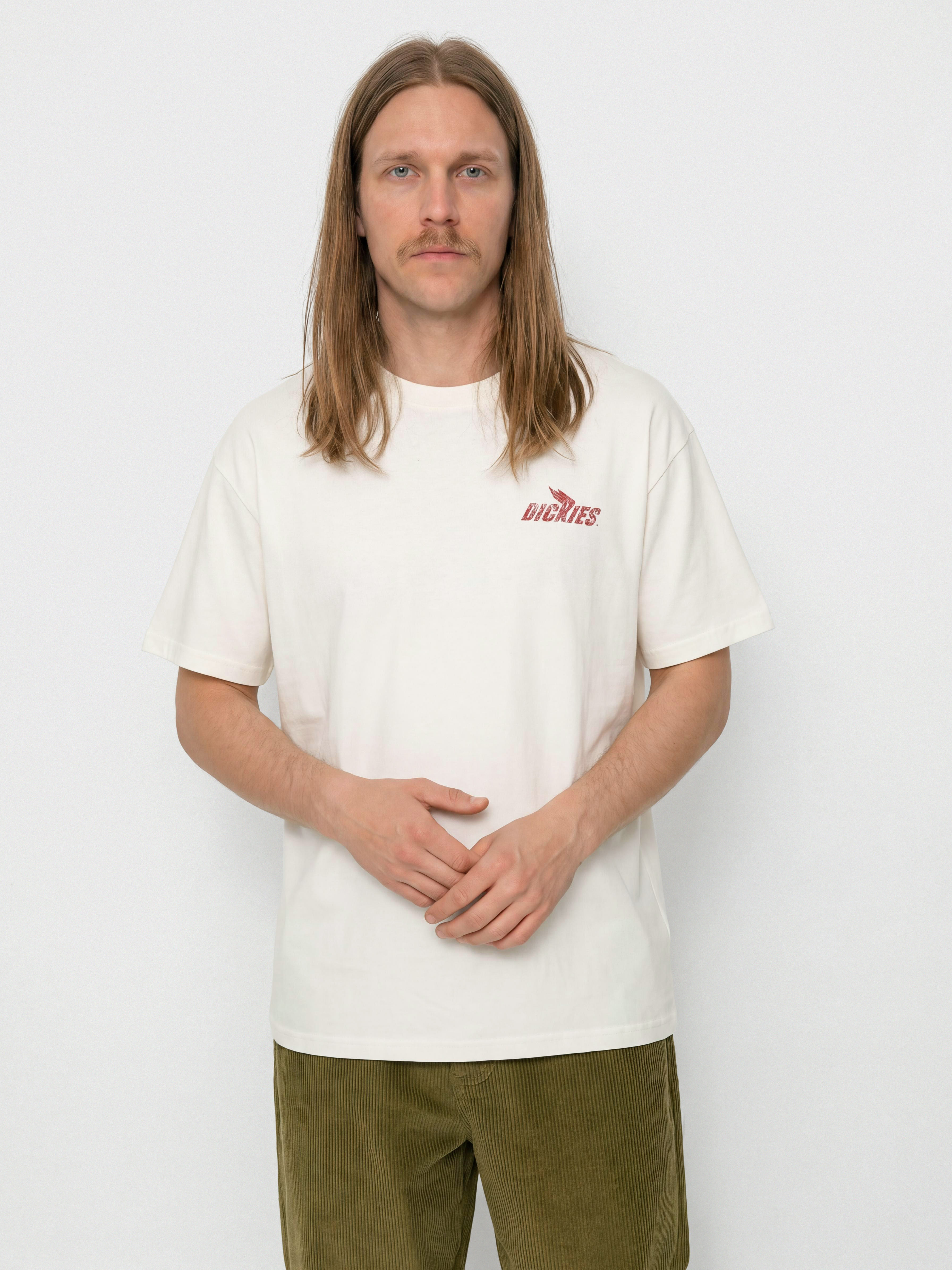 Футболка Dickies Shonto (egret)