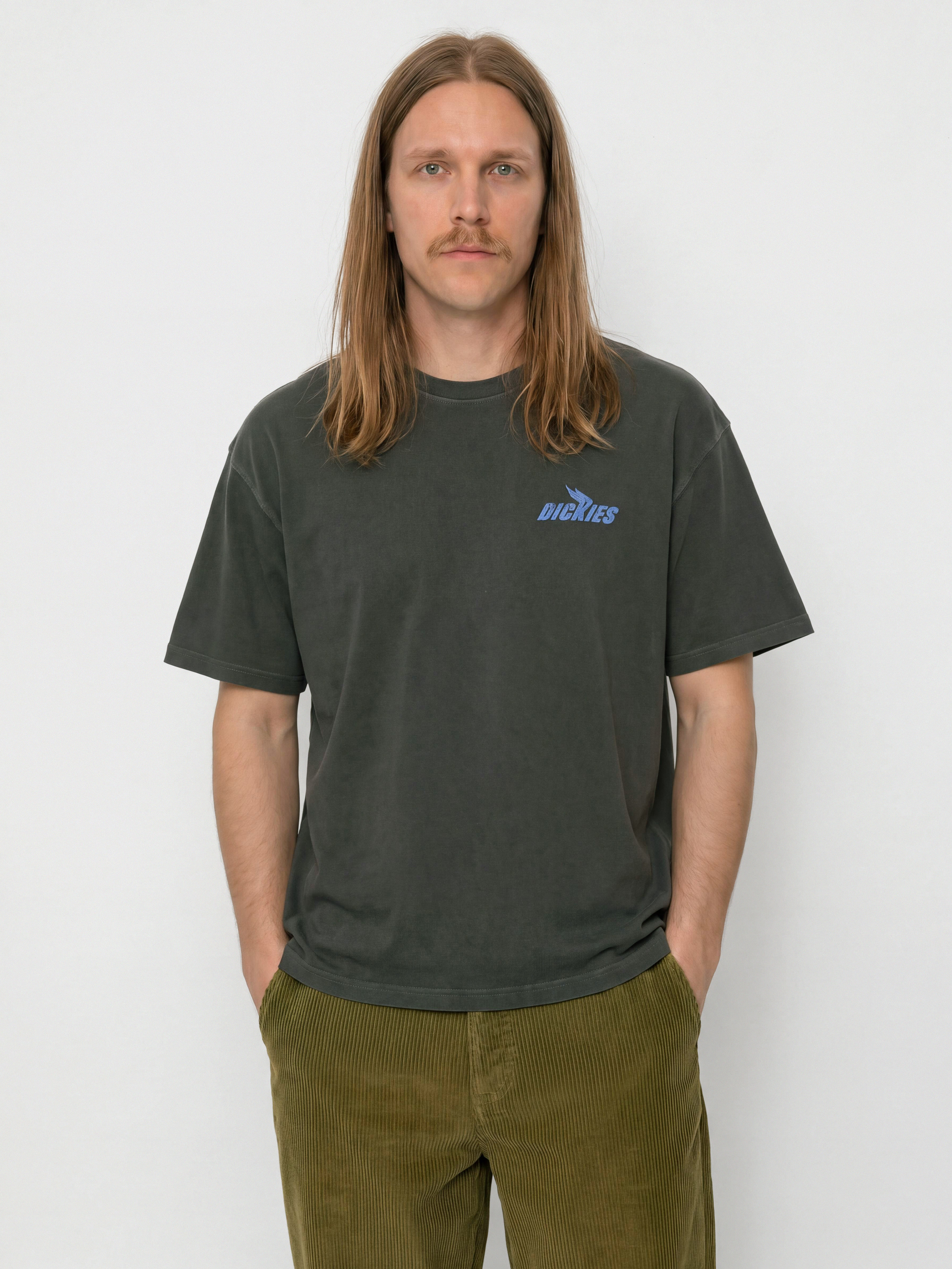 Футболка Dickies Shonto