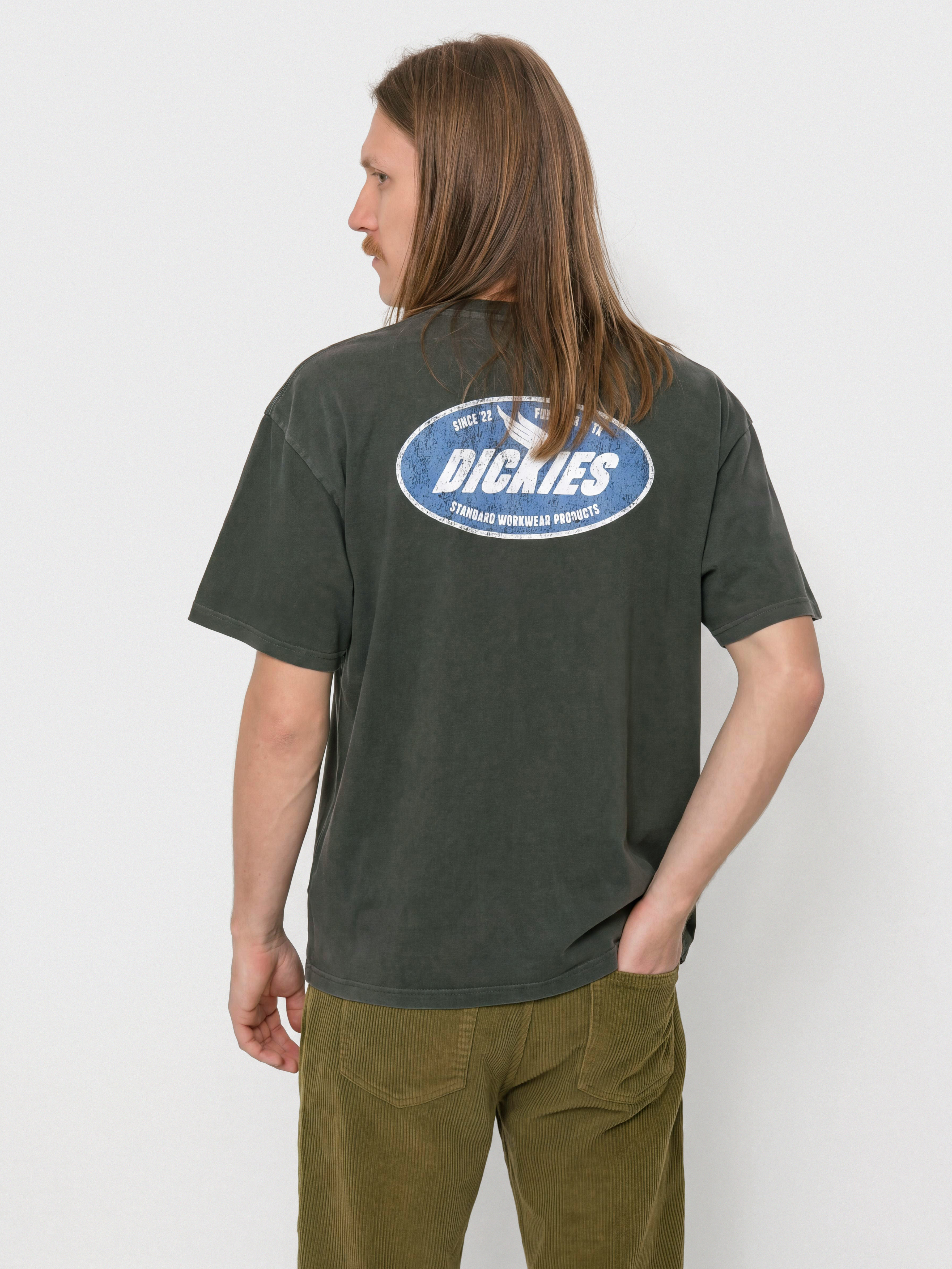 Футболка Dickies Shonto (black)