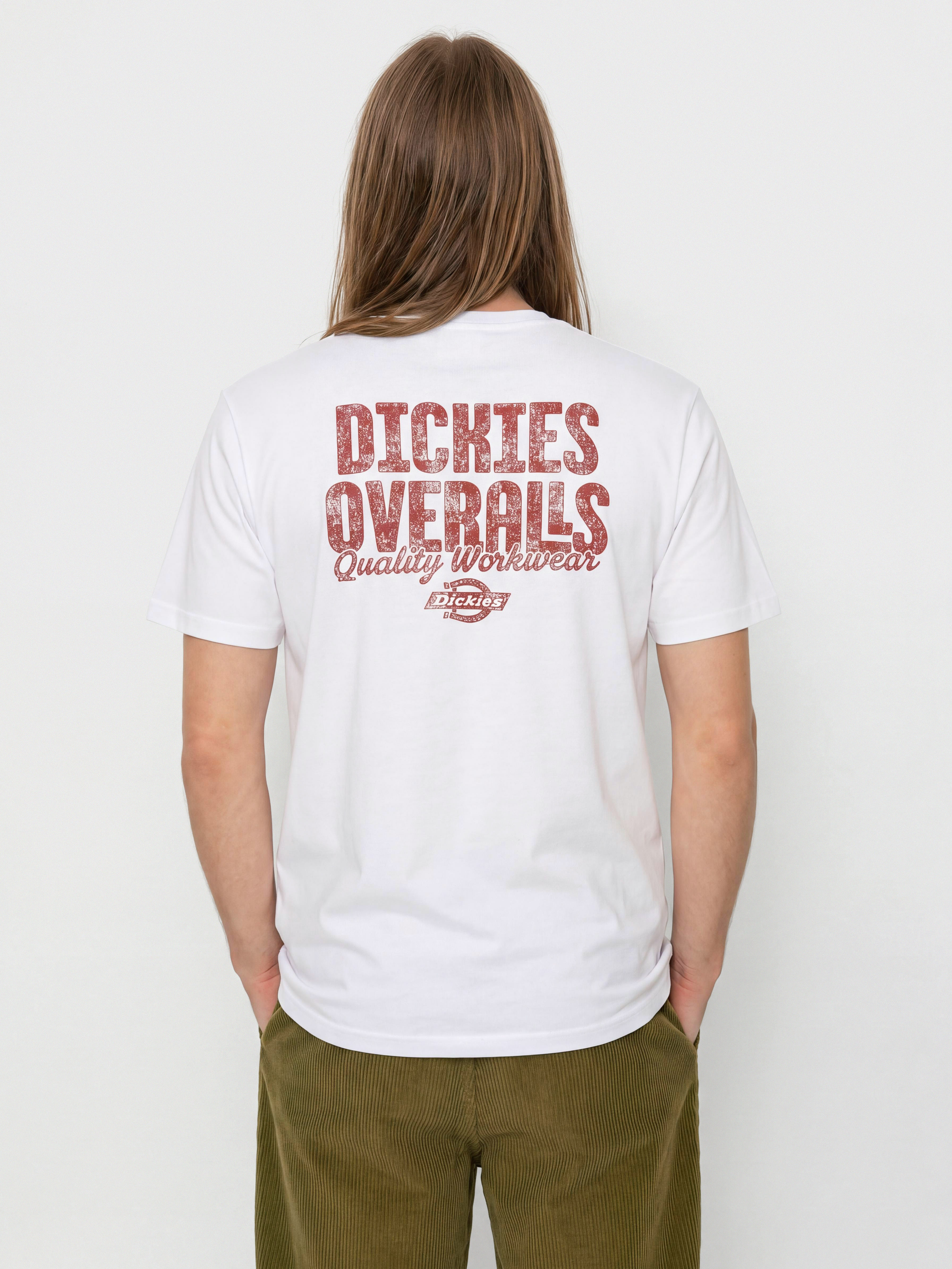 Футболка Dickies Chinle (white)