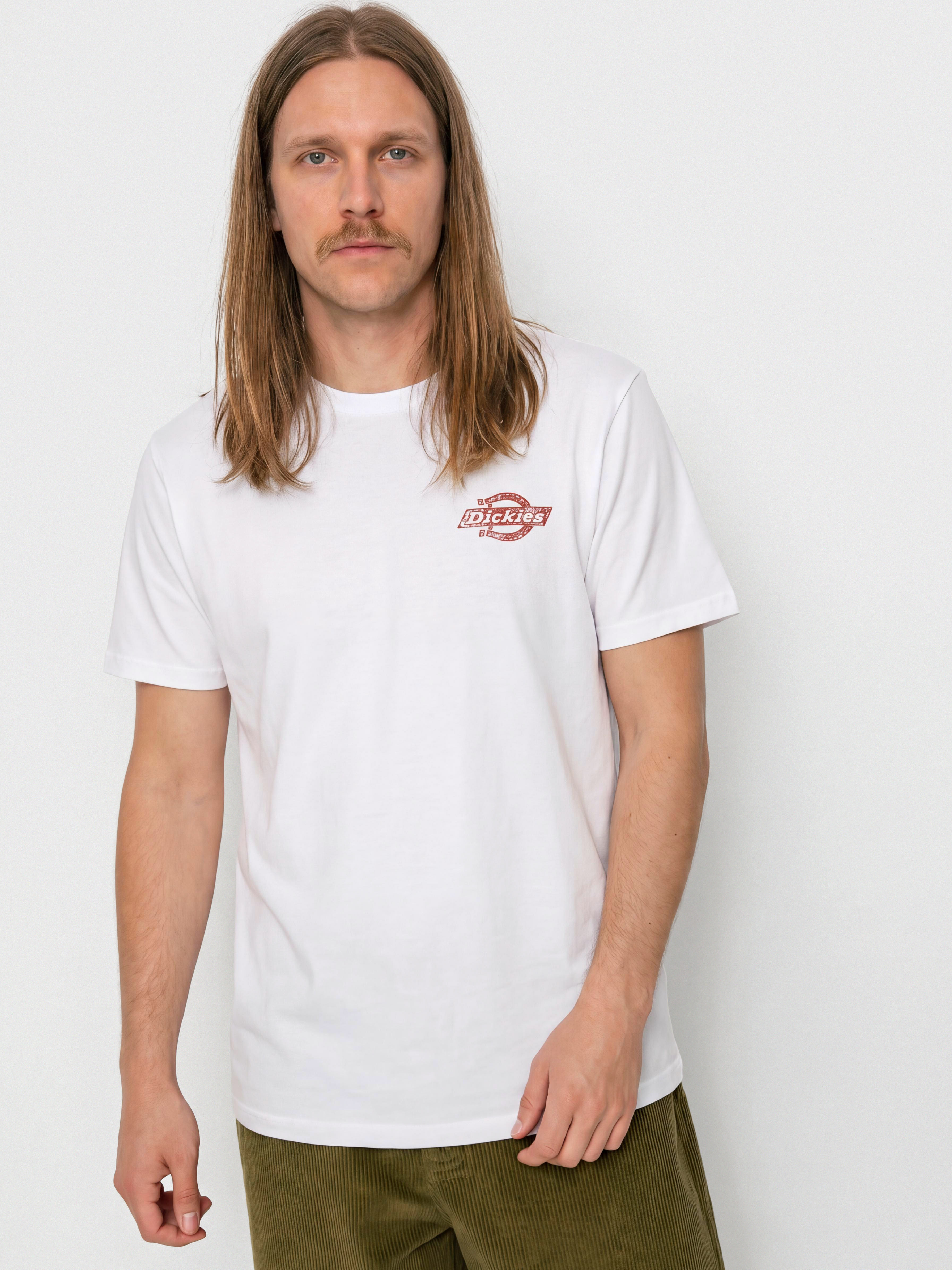 Футболка Dickies Chinle (white)
