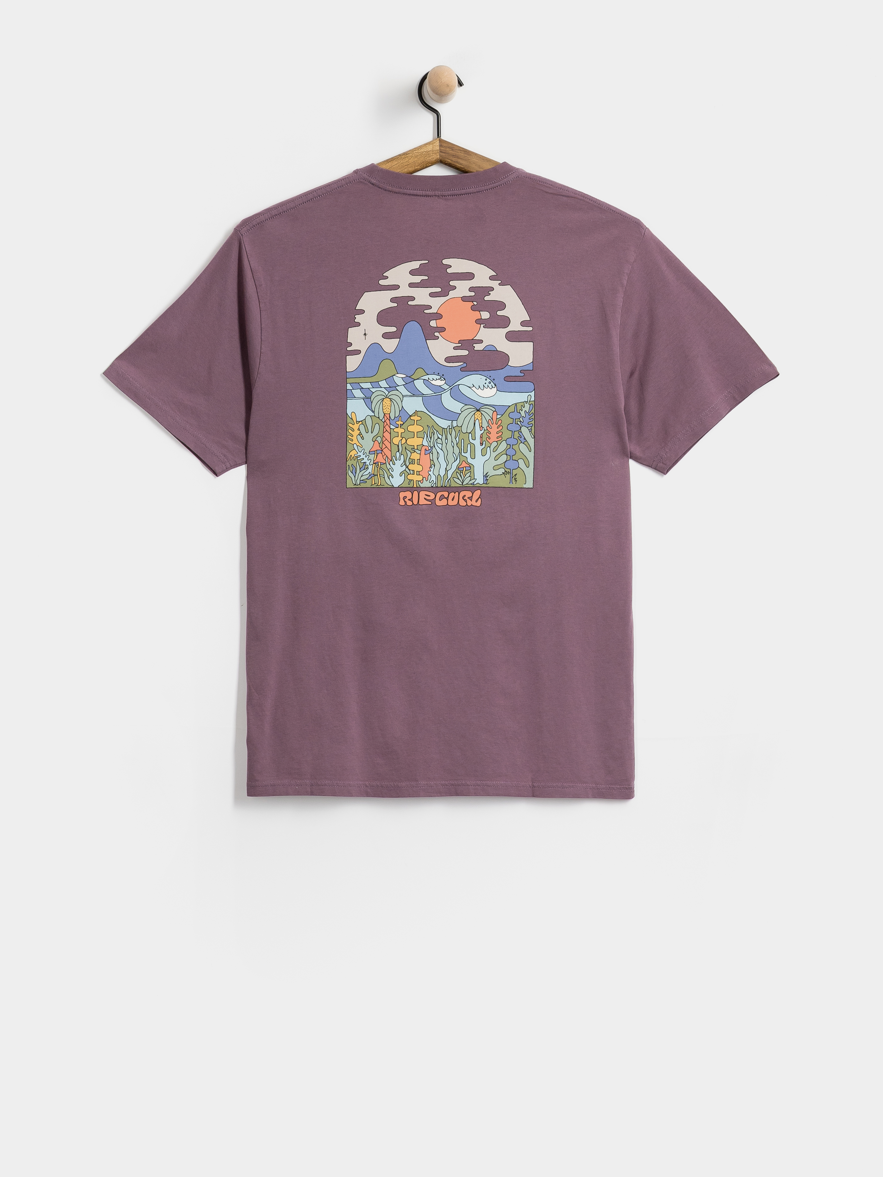 Футболка Rip Curl Pacific Rinse Higgins