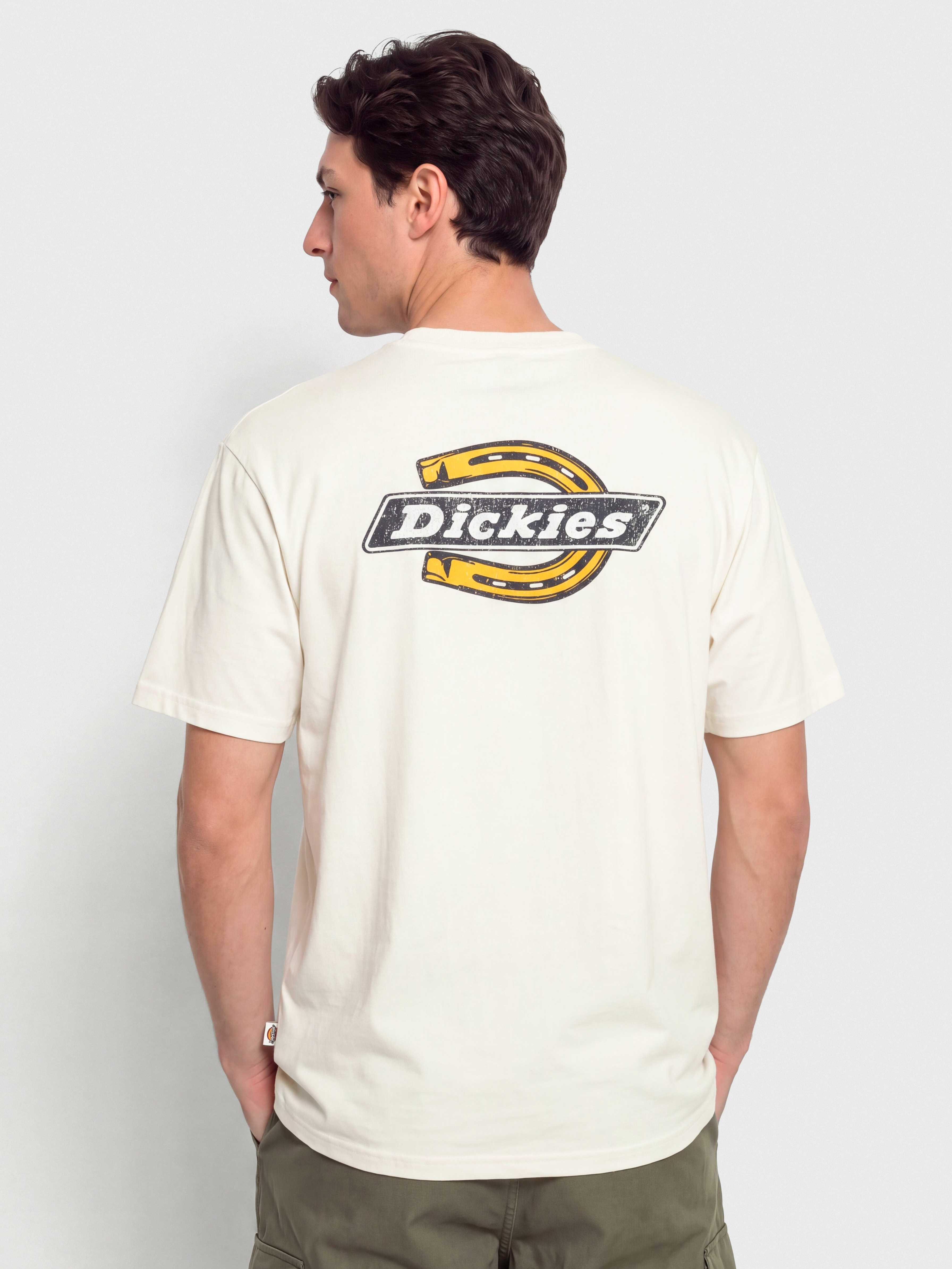 Футболка Dickies Paradise