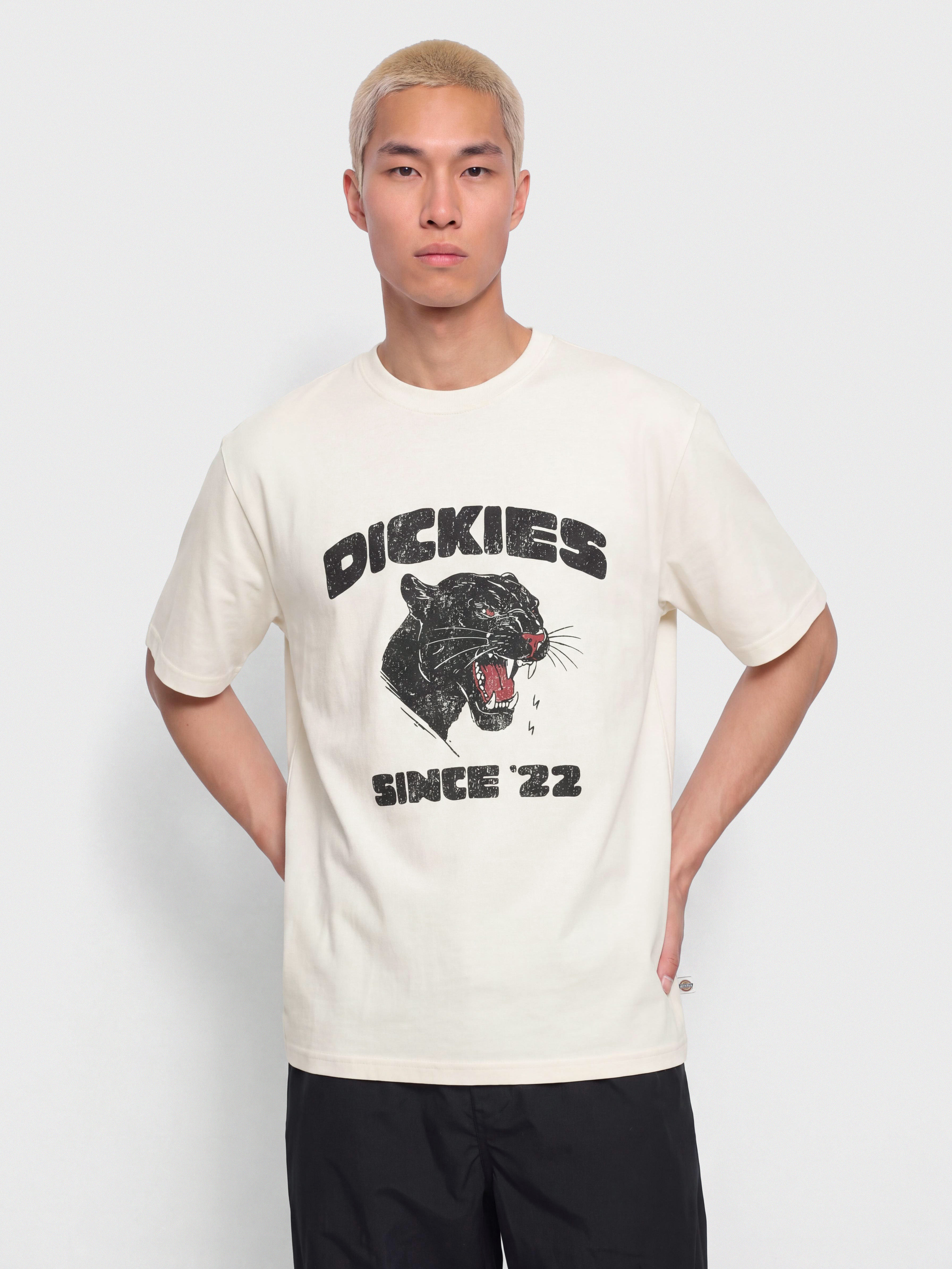 Футболка Dickies Mcdermitt