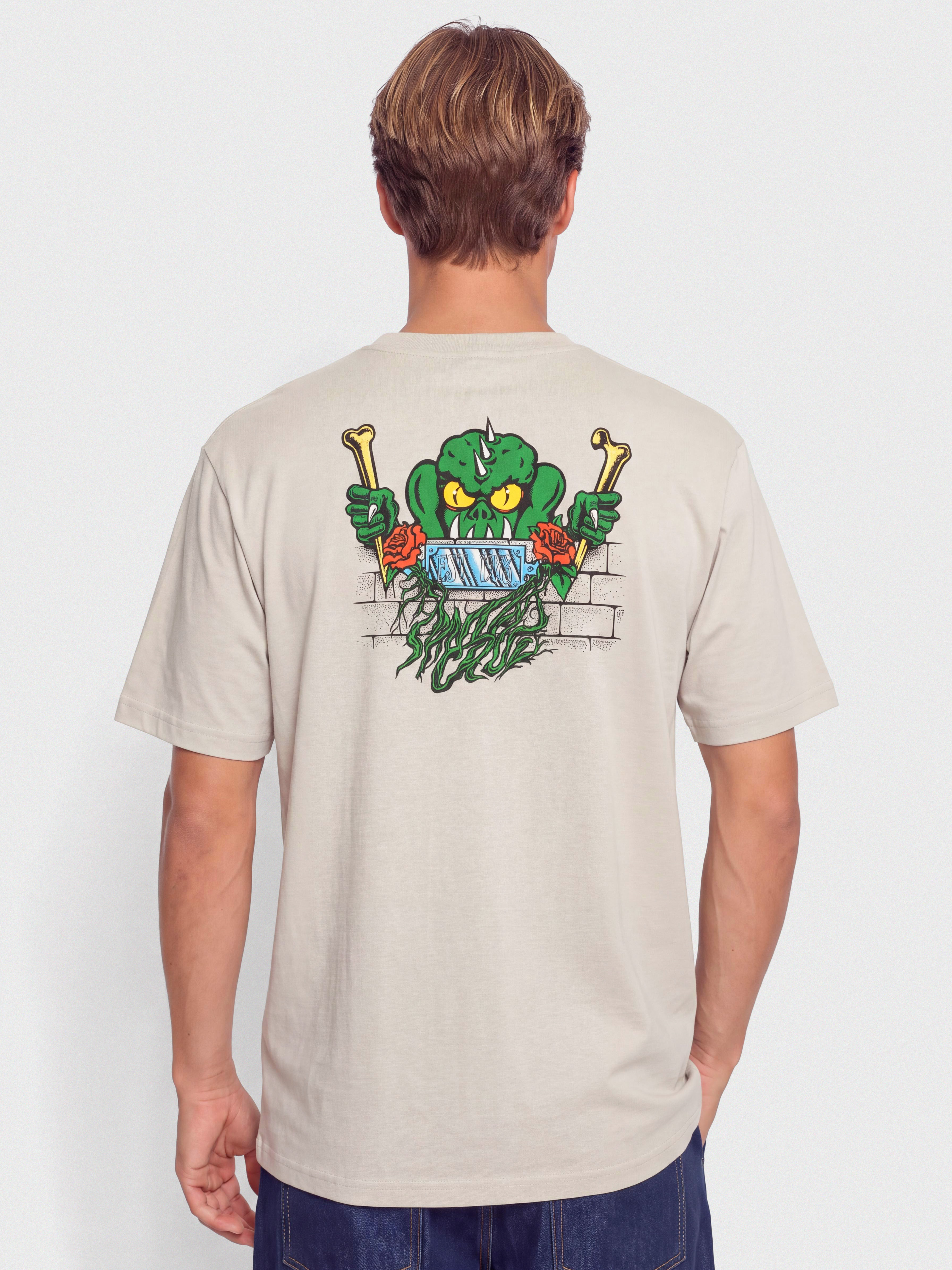 Футболка Santa Cruz Rankine Monster (warm grey)