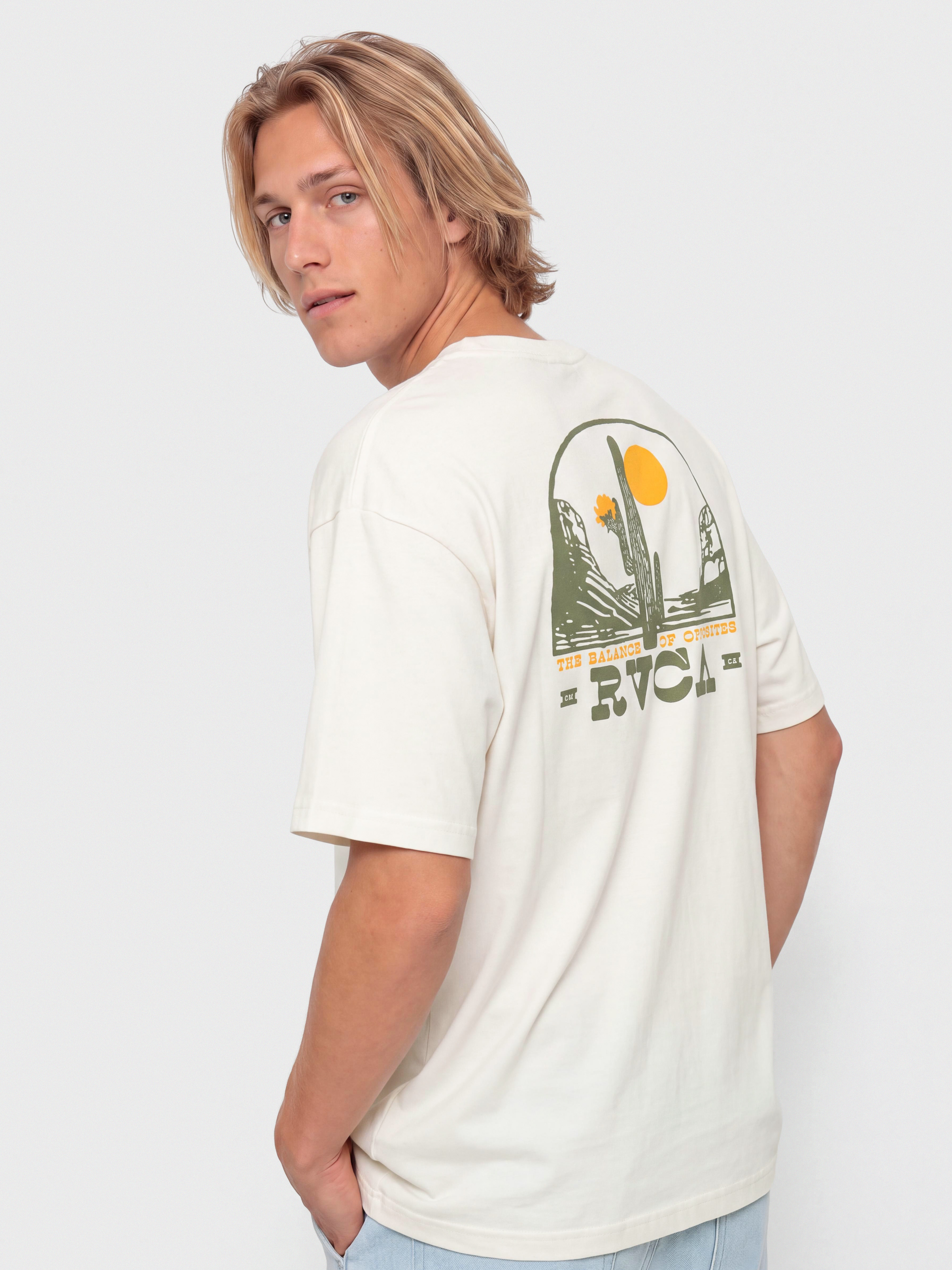 Футболка RVCA Saguaro Canyon