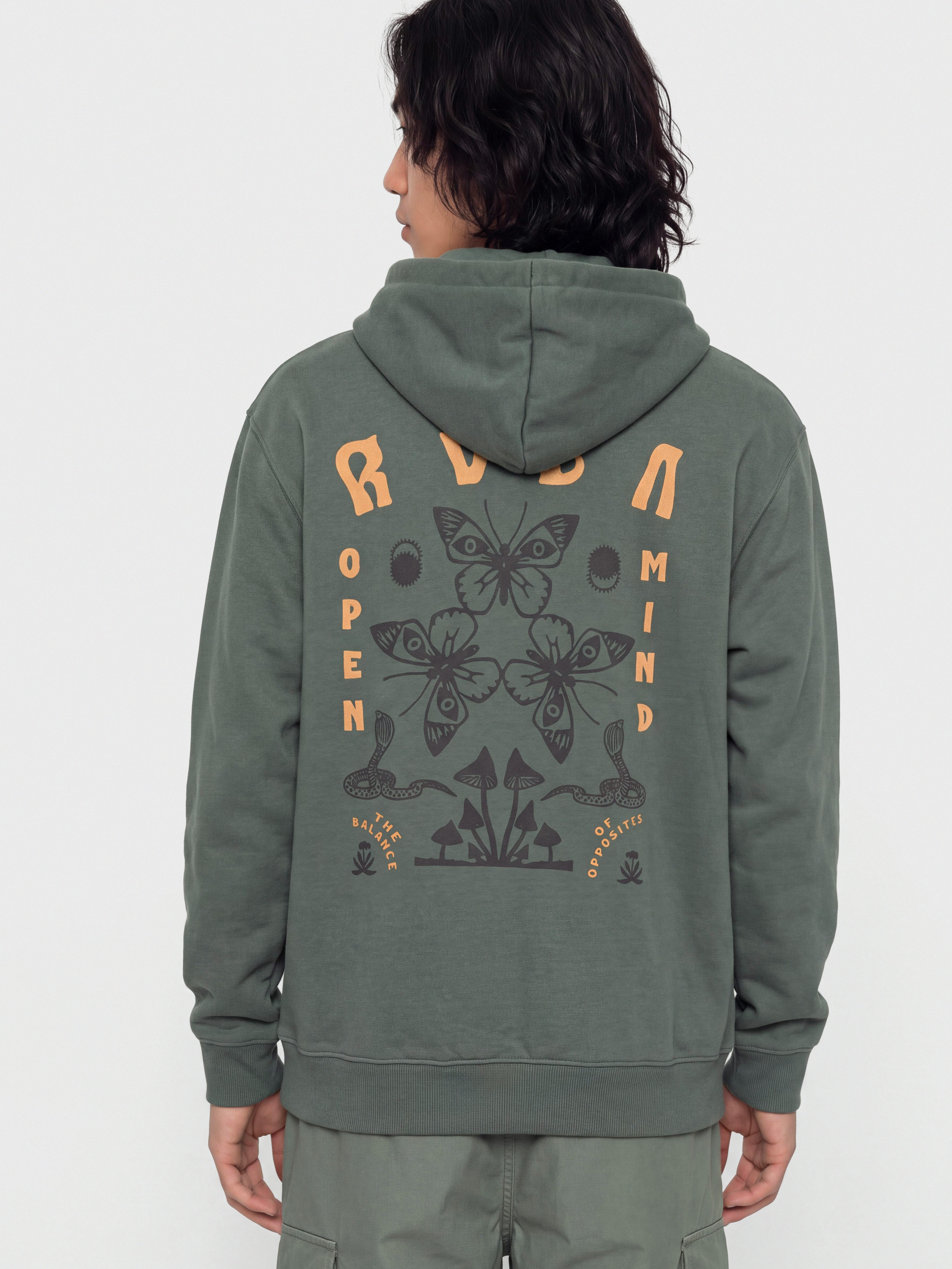 Худі RVCA Butterfly Poster HD